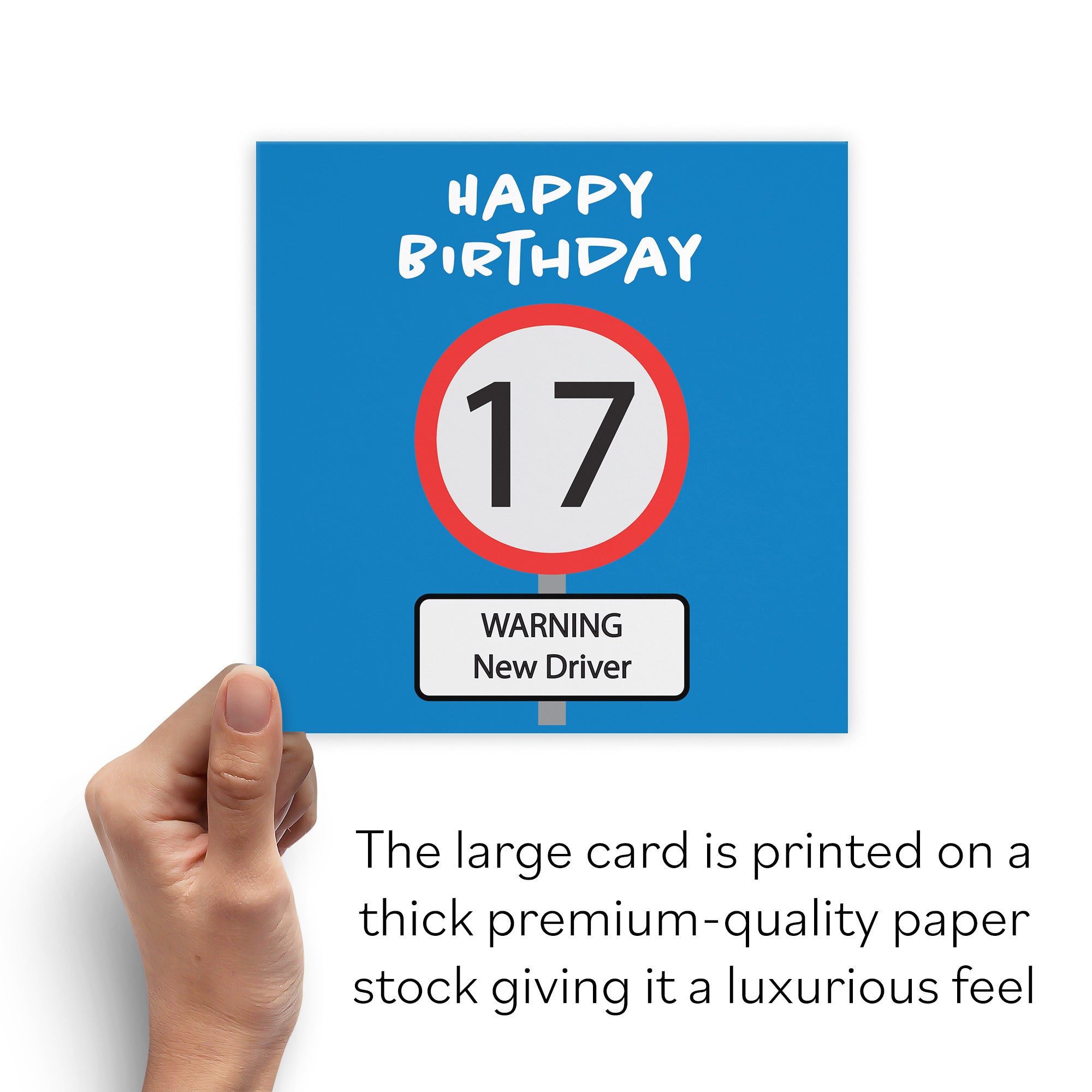 Large Funny 17th Birthday Card Road Sign - Default Title (B0B69SPJGL)