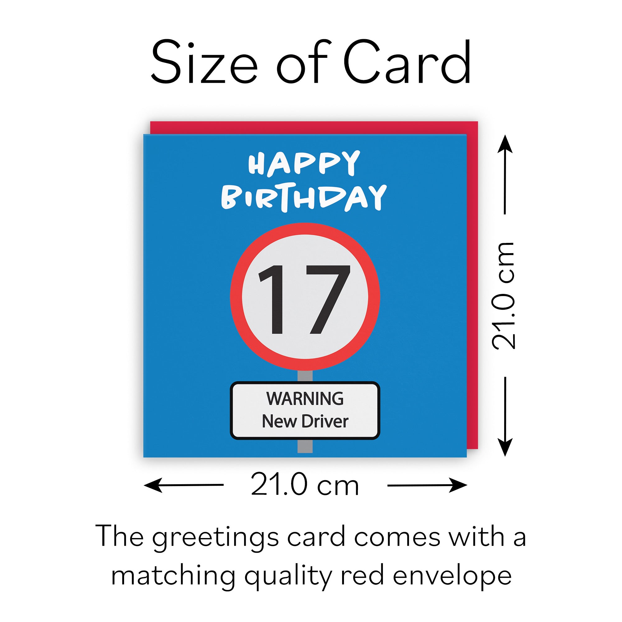 Large Funny 17th Birthday Card Road Sign - Default Title (B0B69SPJGL)