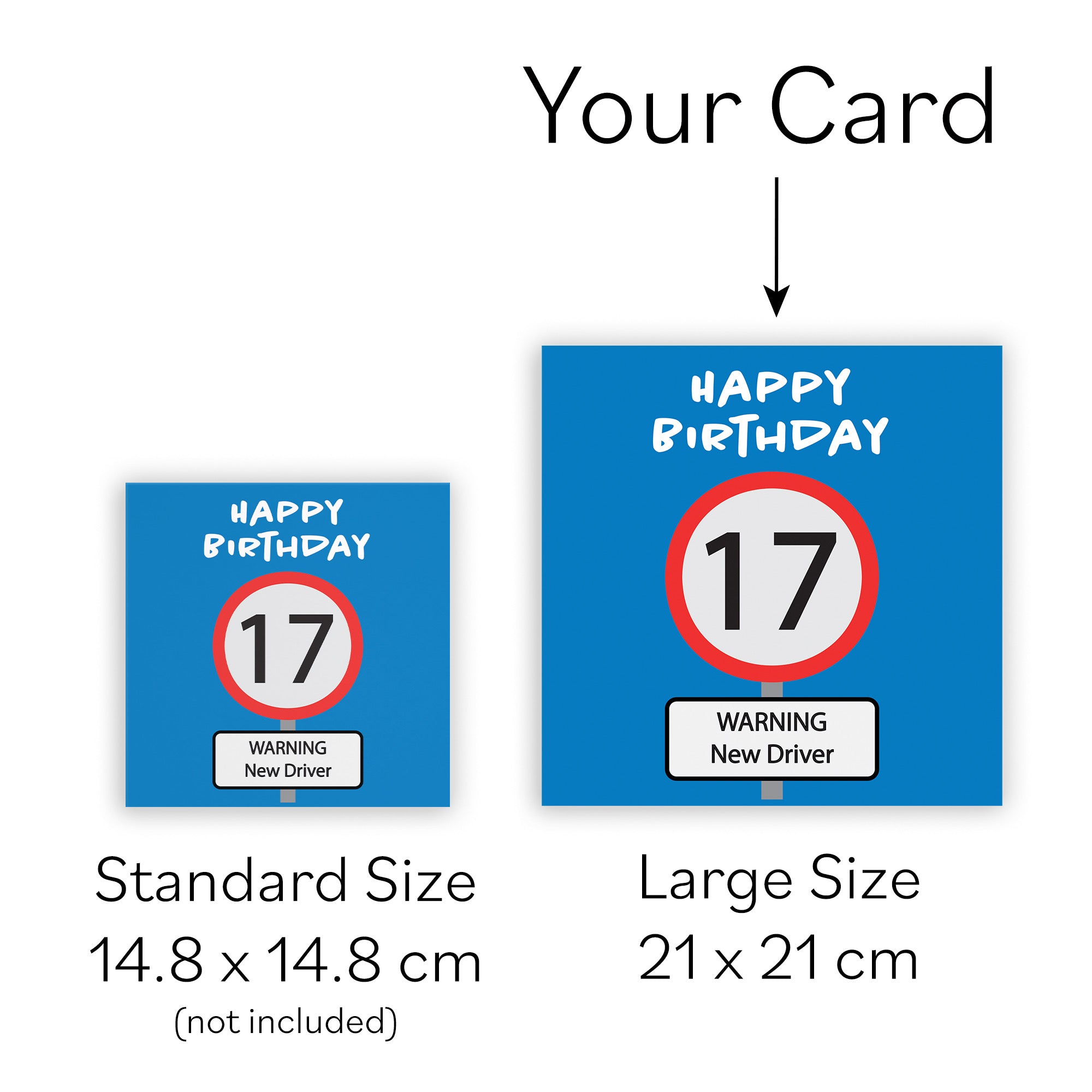 Large Funny 17th Birthday Card Road Sign - Default Title (B0B69SPJGL)