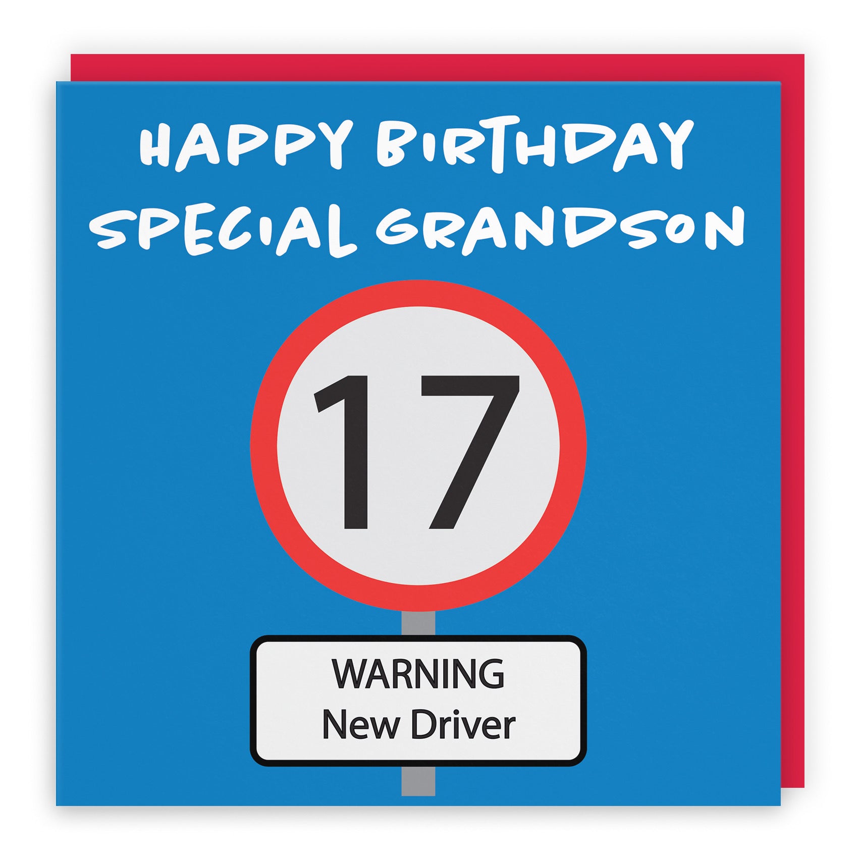 Large Grandson 17th Birthday Card Road Sign - Default Title (B0B69SWSQB)