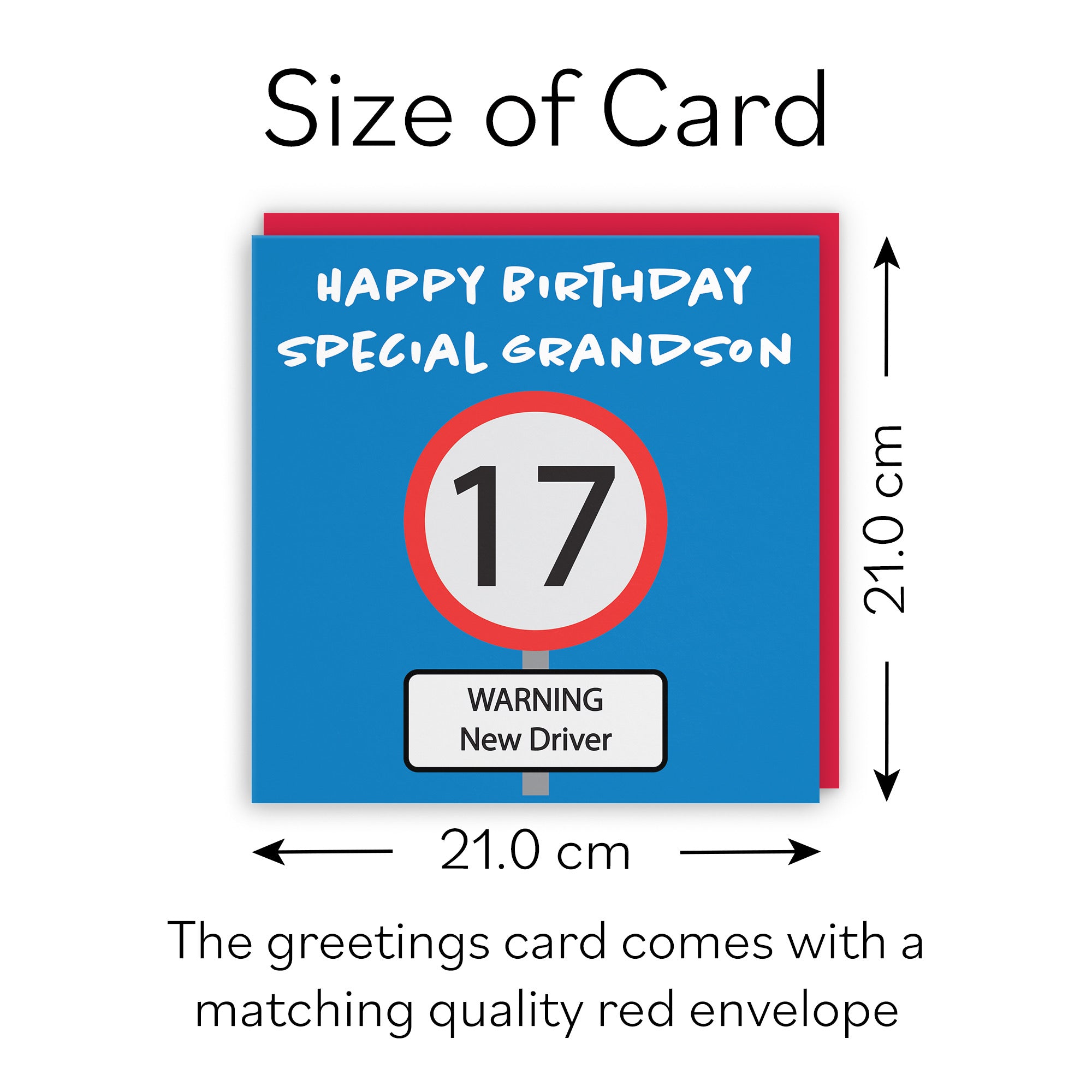 Large Grandson 17th Birthday Card Road Sign - Default Title (B0B69SWSQB)