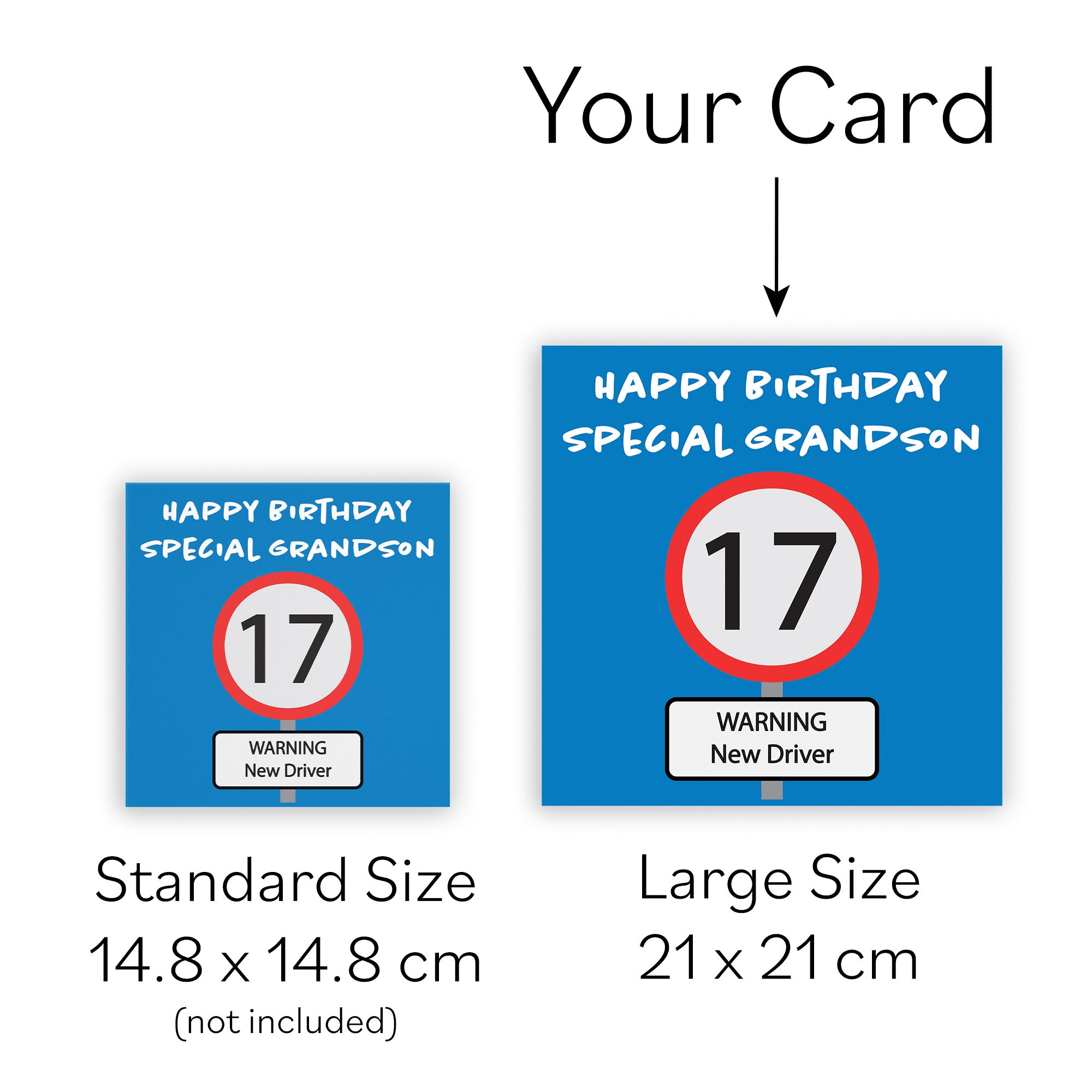 Large Grandson 17th Birthday Card Road Sign - Default Title (B0B69SWSQB)