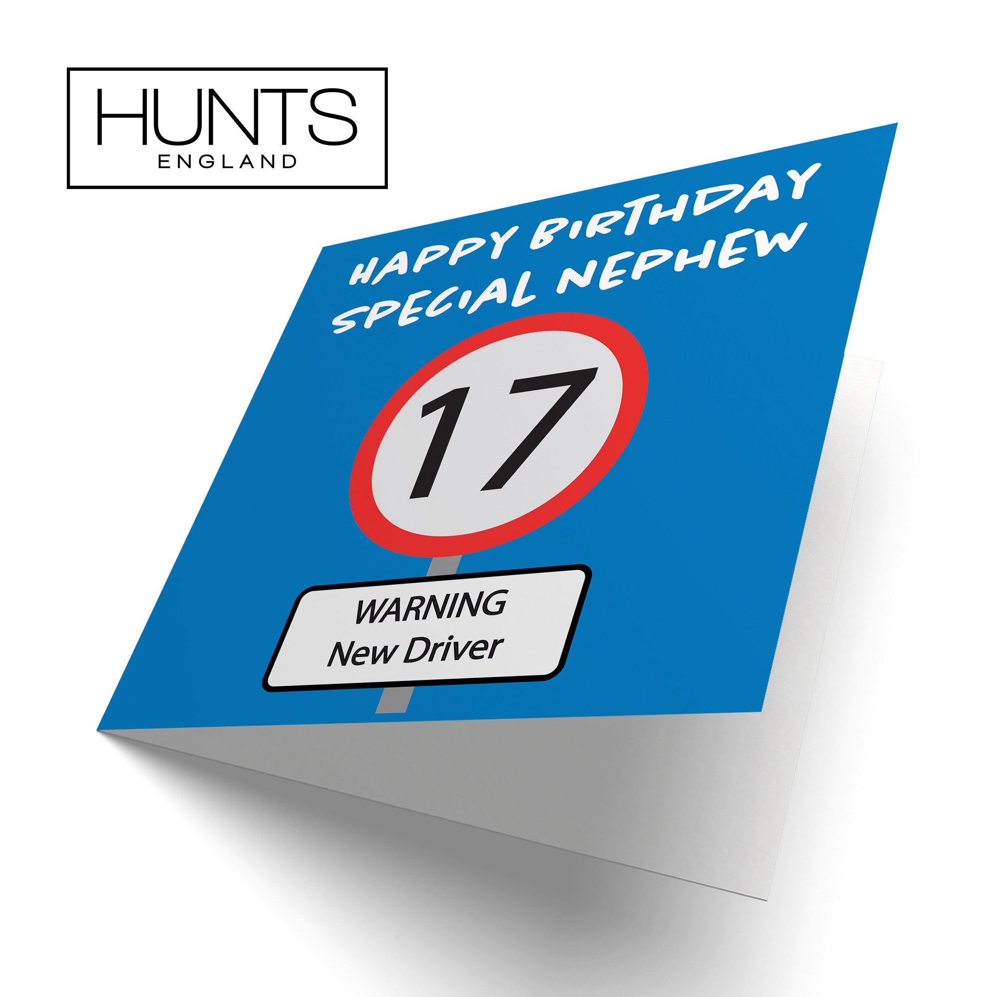 Large Nephew 17th Birthday Card Road Sign - Default Title (B0B69TBH8T)