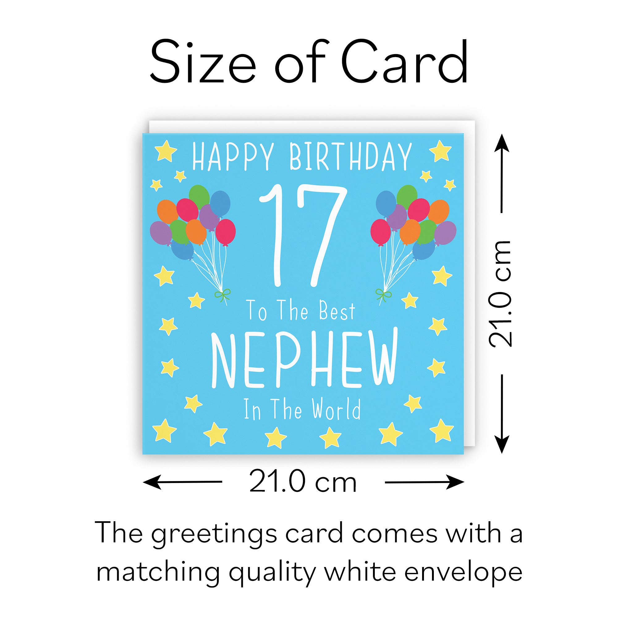 Large Nephew 17th Birthday Card Iconic - Default Title (B0BBMVDXTQ)