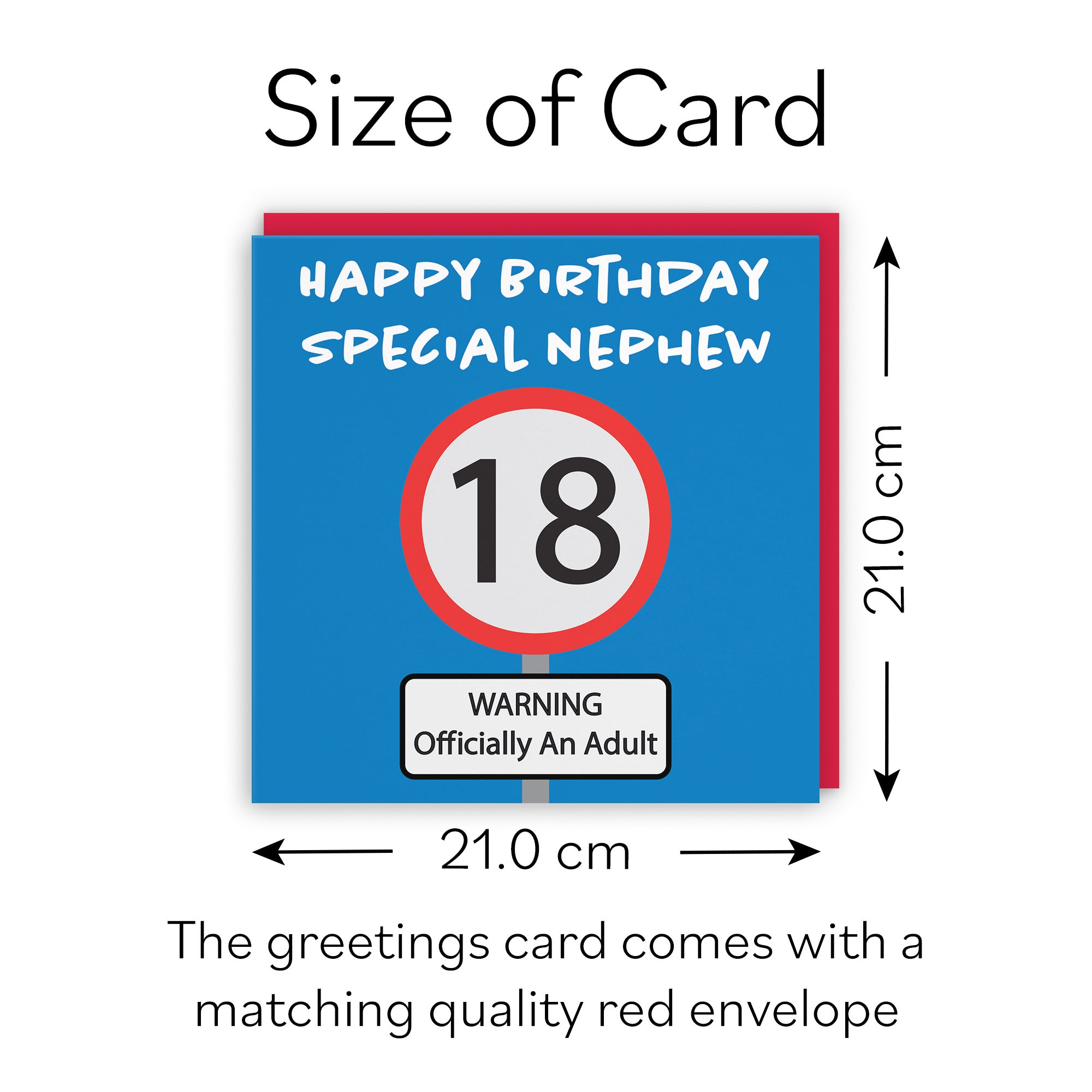 Large Nephew 18th Birthday Card Road Sign - Default Title (B0BBMWMGNV)