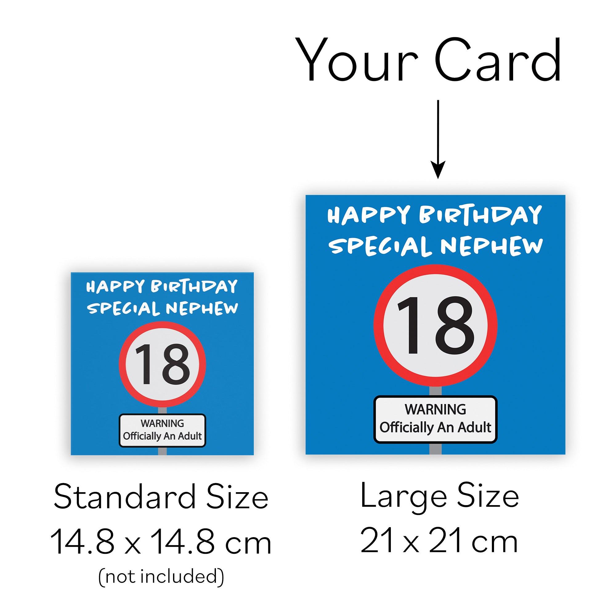 Large Nephew 18th Birthday Card Road Sign - Default Title (B0BBMWMGNV)