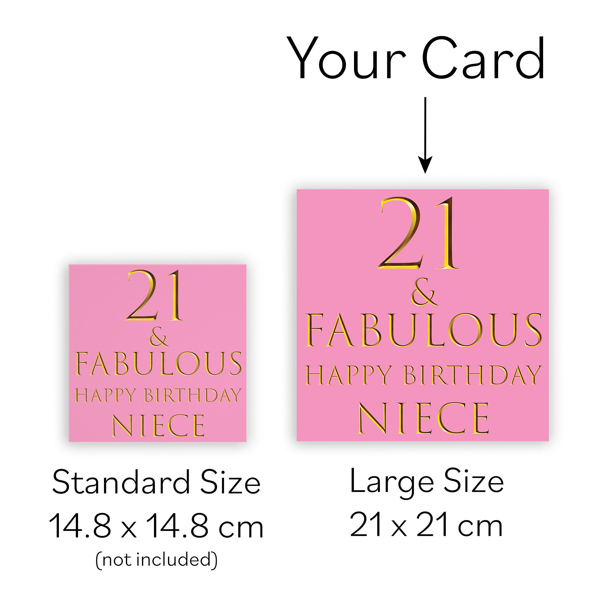 Large Niece 21st Birthday Card Still Totally Fabulous - Default Title (B0BBMWYWZF)