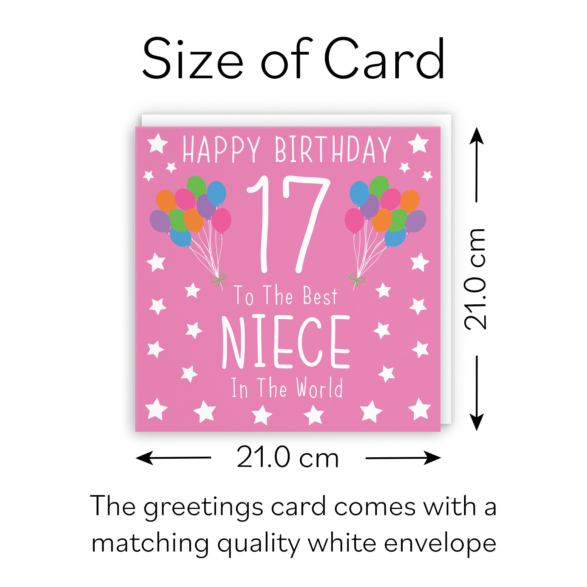 Large Niece 17th Birthday Card Iconic - Default Title (B0BBMZHSYH)