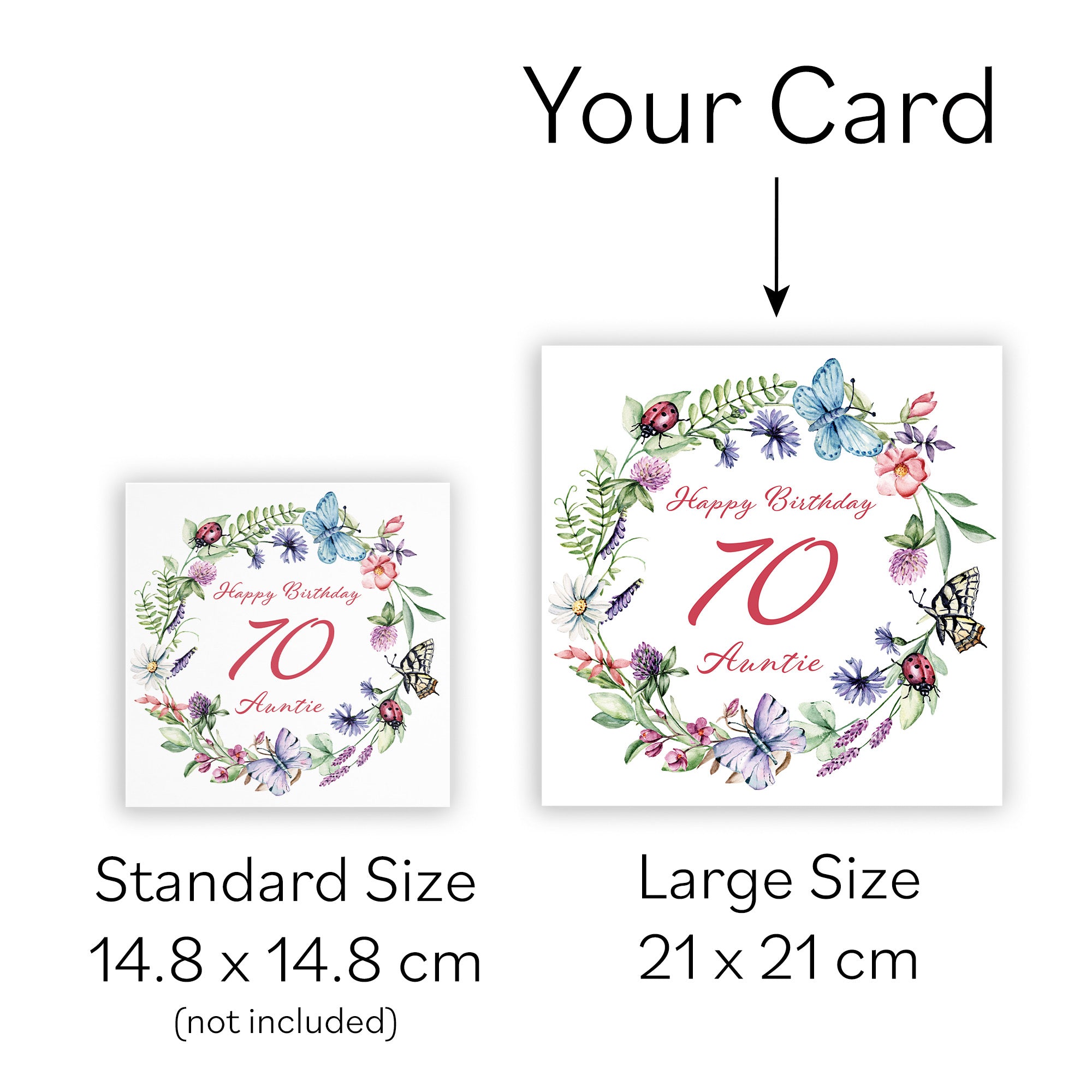 Large Auntie 70th Birthday Card Meadow - Default Title (B0BPT28KP5)