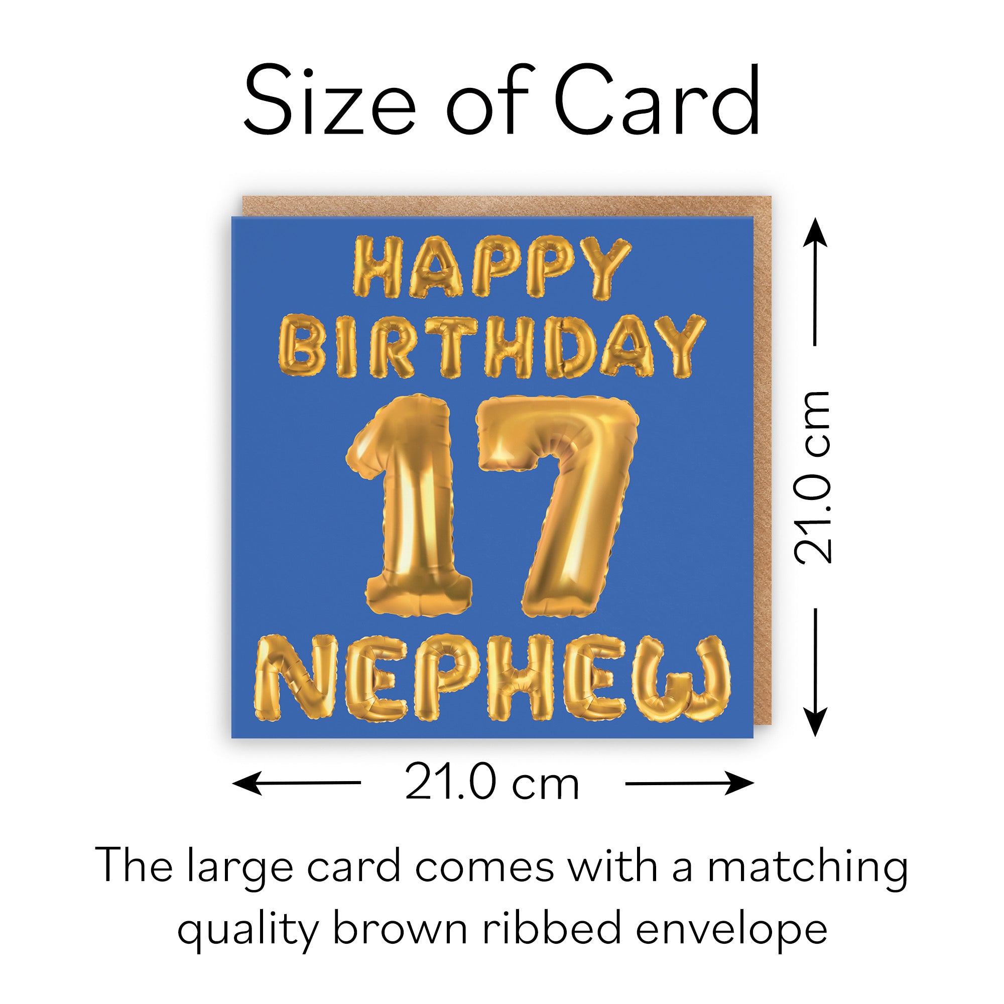 Large Nephew 17th Birthday Card Balloon - Default Title (B0BPT4MK7Z)