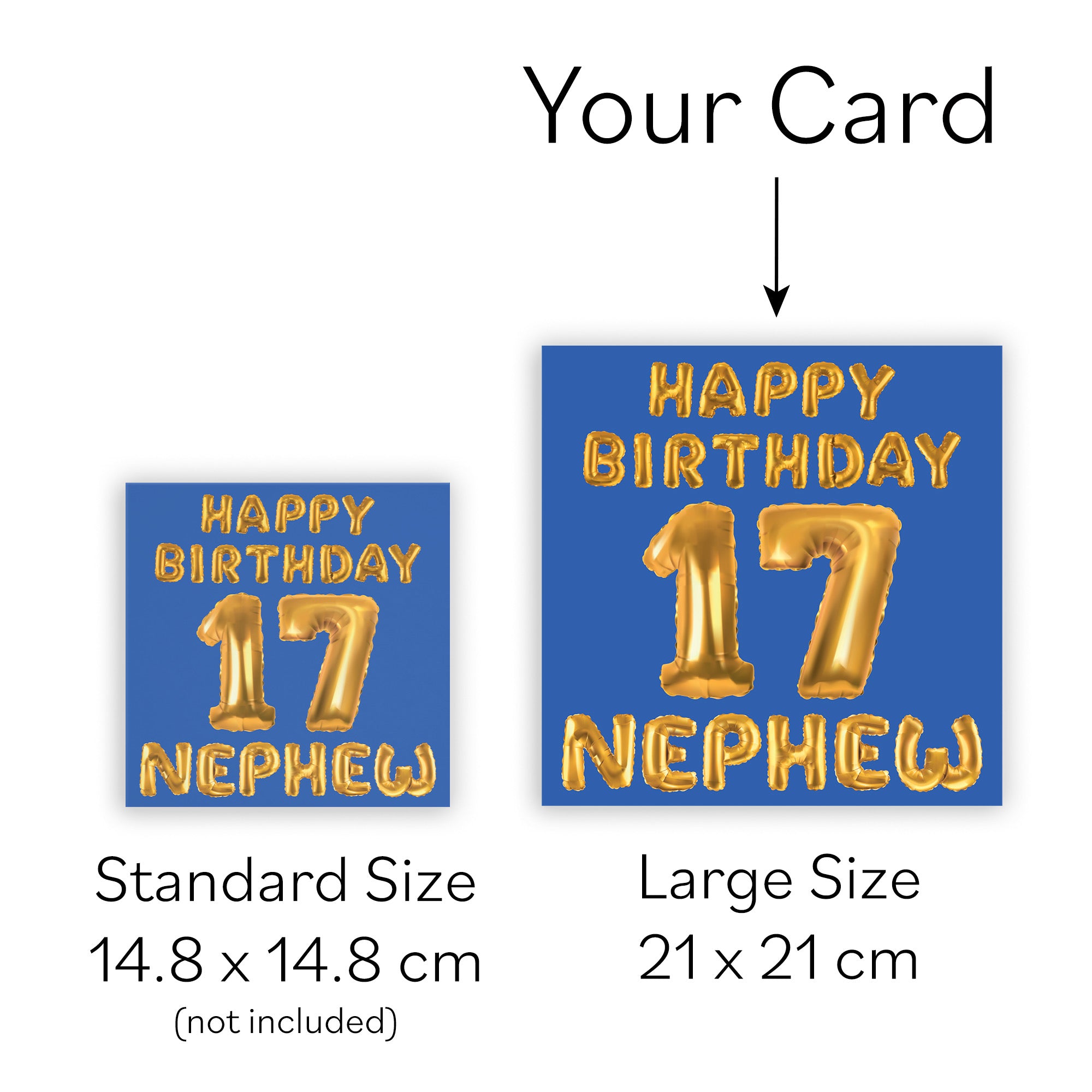 Large Nephew 17th Birthday Card Balloon - Default Title (B0BPT4MK7Z)