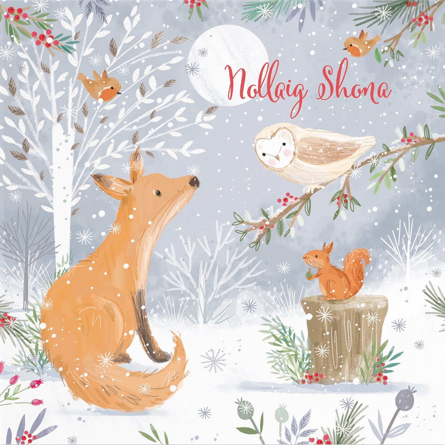 Irish Gealic Cute Fox Christmas Card Nature's Treasures - Default Title (B0CMJ6C5C2)