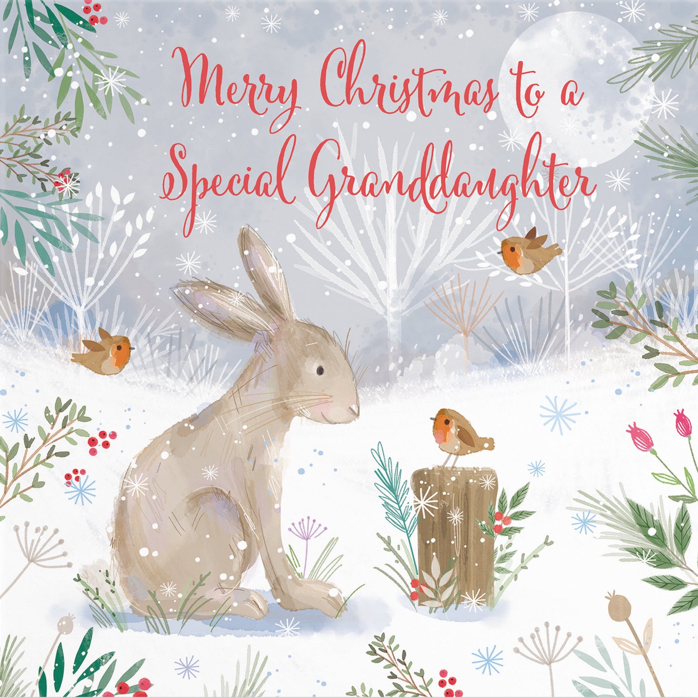 Granddaughter Cute Hare Christmas Card Nature's Treasures - Default Title (B0CMJ6P6VG)