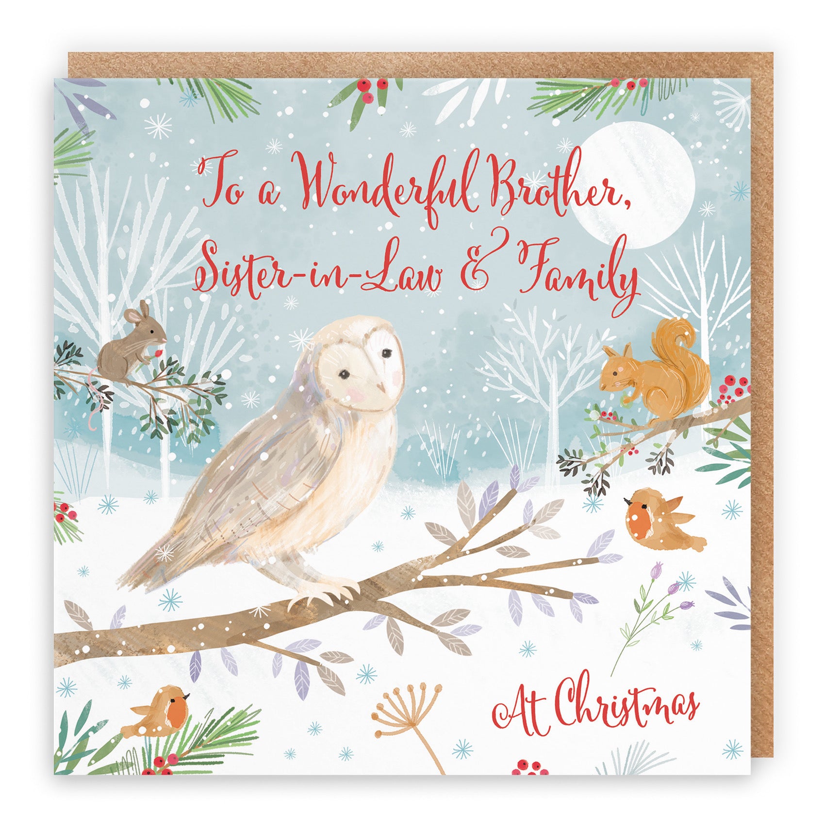 Brother, Sister In Law And Family Cute Owl Christmas Card Nature's Treasures - Default Title (B0CMJ6VK92)