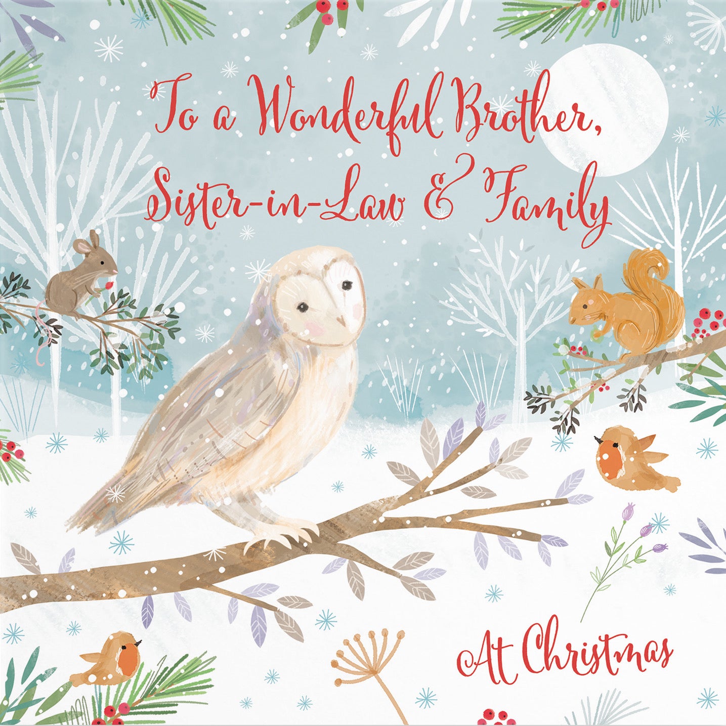 Brother, Sister In Law And Family Cute Owl Christmas Card Nature's Treasures - Default Title (B0CMJ6VK92)