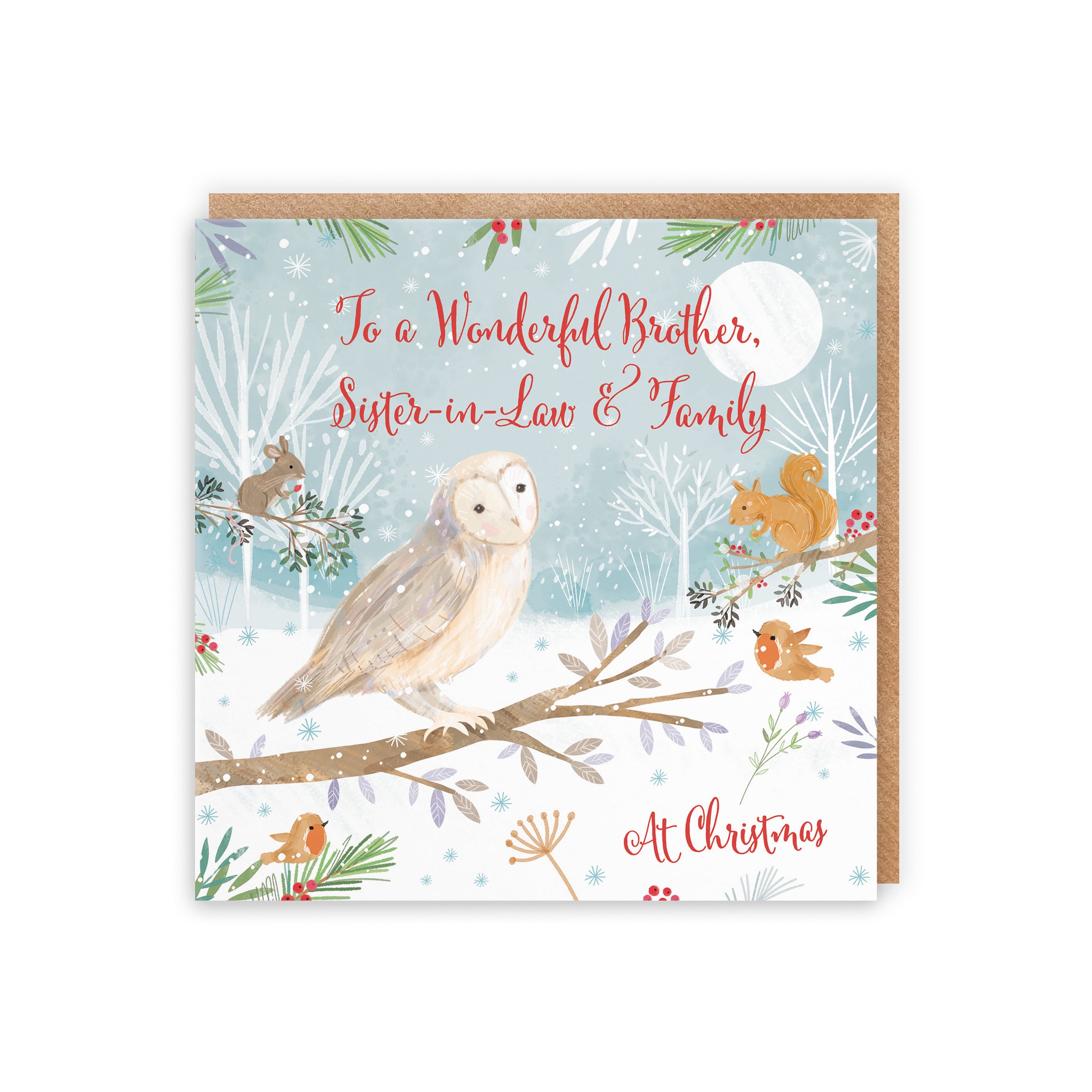 Brother, Sister In Law And Family Cute Owl Christmas Card Nature's Treasures - Default Title (B0CMJ6VK92)