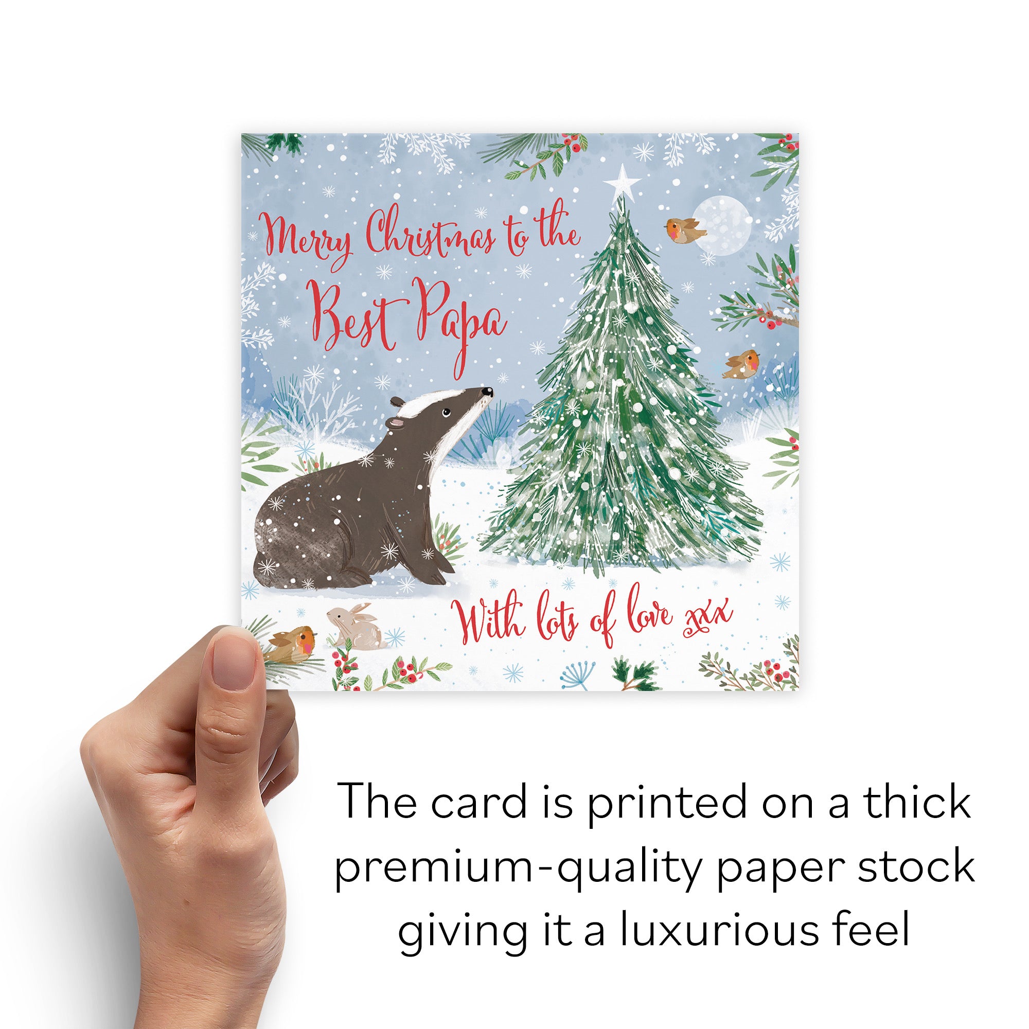 Cute Badger Papa Christmas Card Nature's Treasures - Default Title (B0CMJ75KP6)