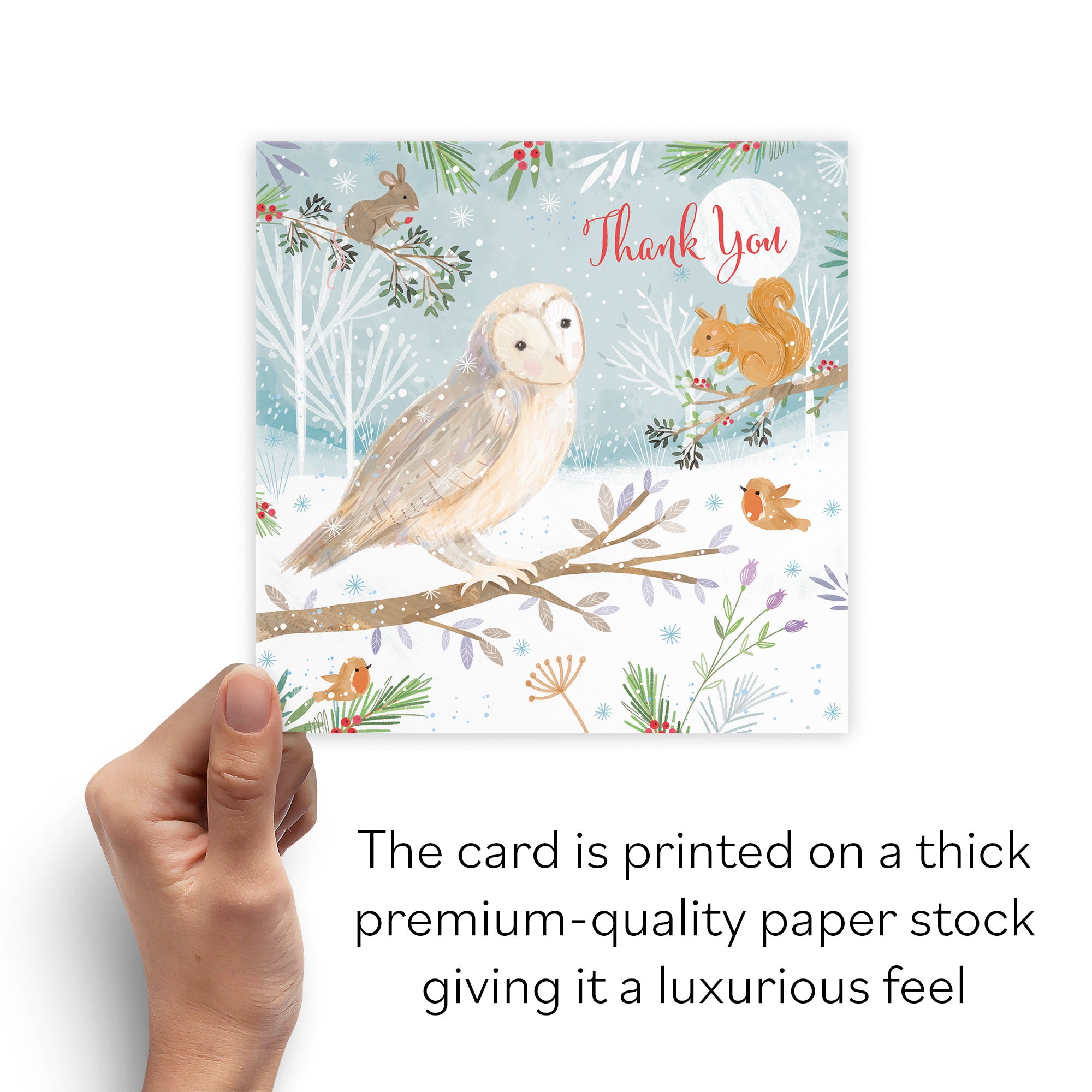 Thank You Cute Owl Christmas Card Nature's Treasures - Default Title (B0CMJ7XMLF)