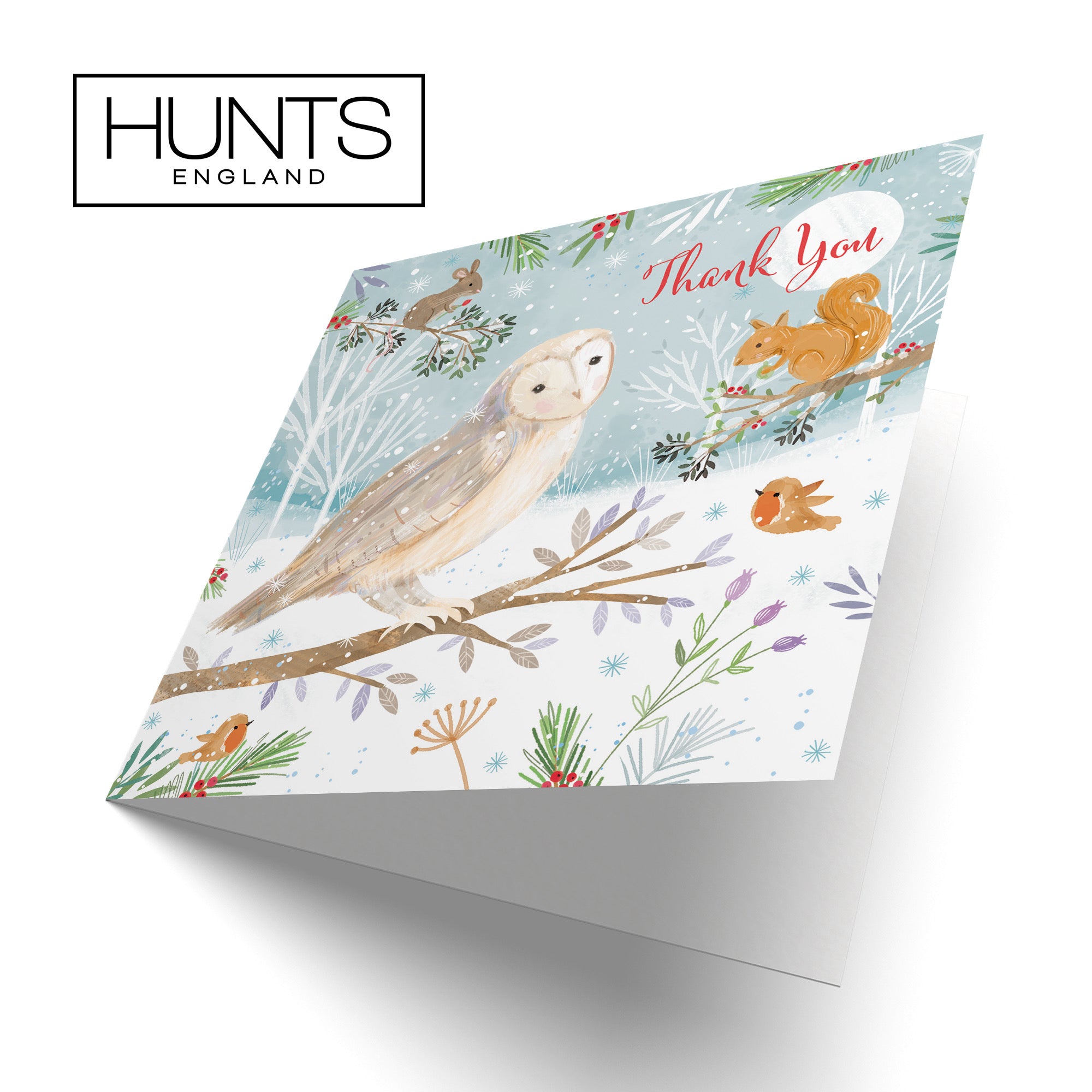 Thank You Cute Owl Christmas Card Nature's Treasures - Default Title (B0CMJ7XMLF)