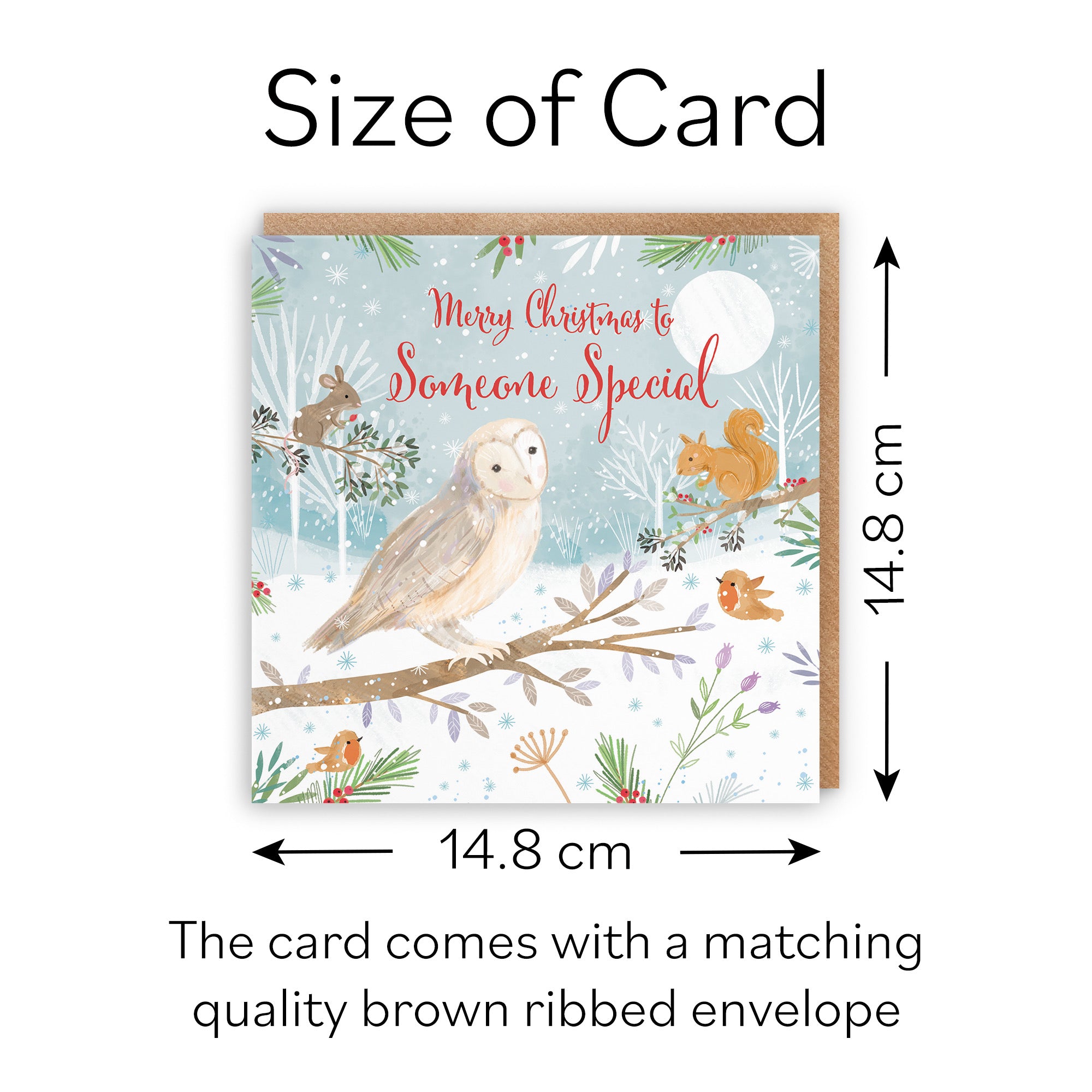 Someone Special Cute Owl Christmas Card Nature's Treasures - Default Title (B0CMJ7YJJQ)