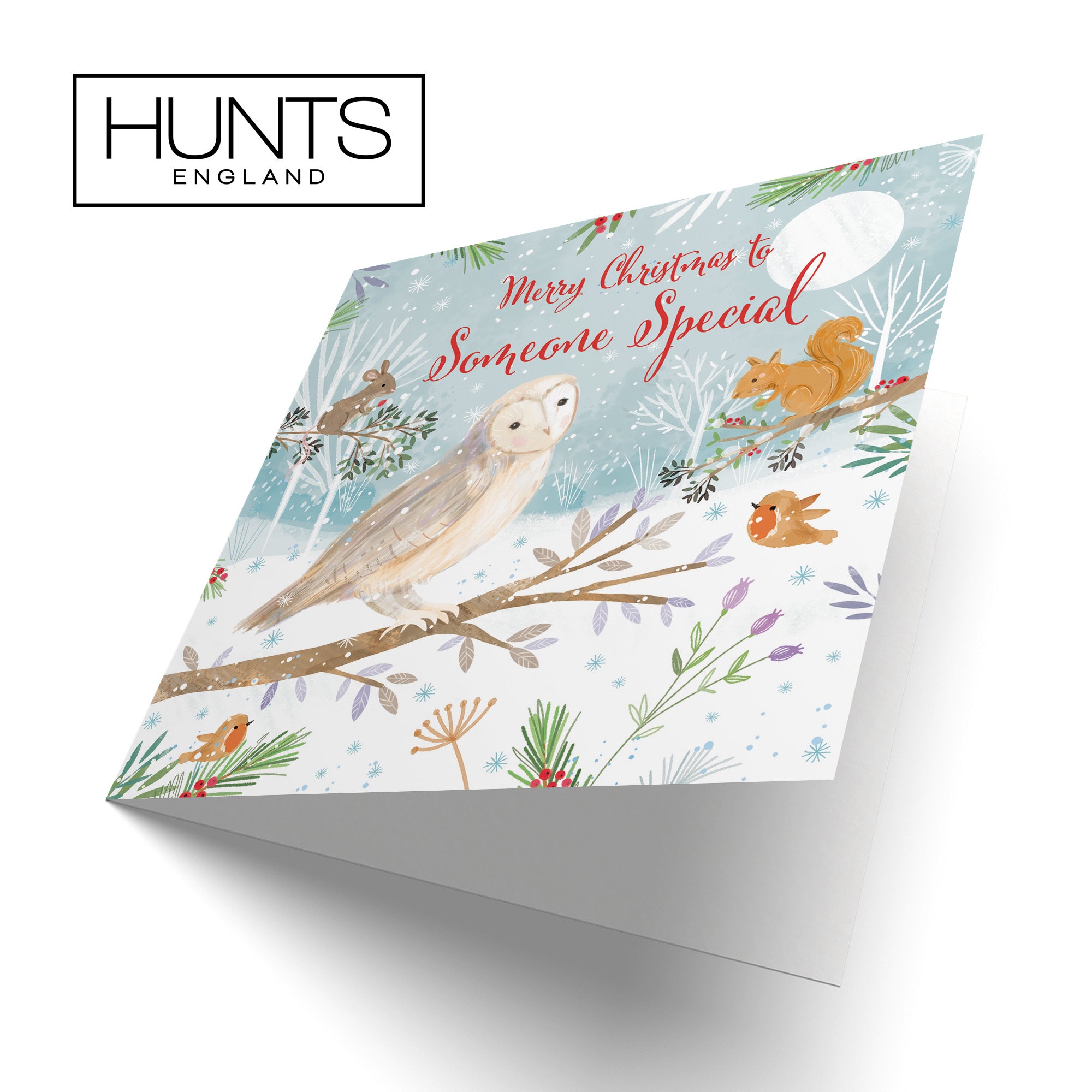 Someone Special Cute Owl Christmas Card Nature's Treasures - Default Title (B0CMJ7YJJQ)