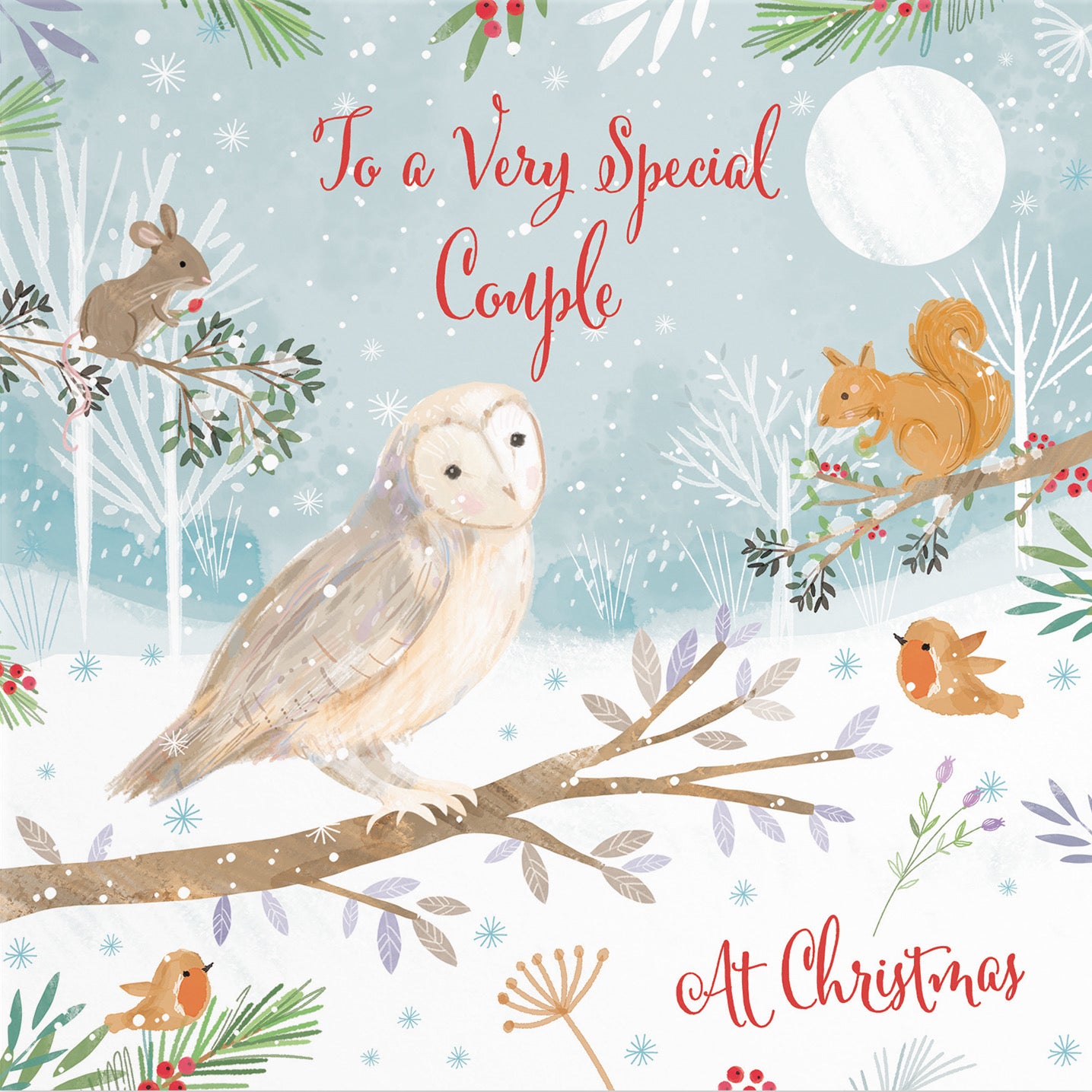 Very Special Couple Cute Owl Christmas Card Nature's Treasures - Default Title (B0CMJ83SRG)