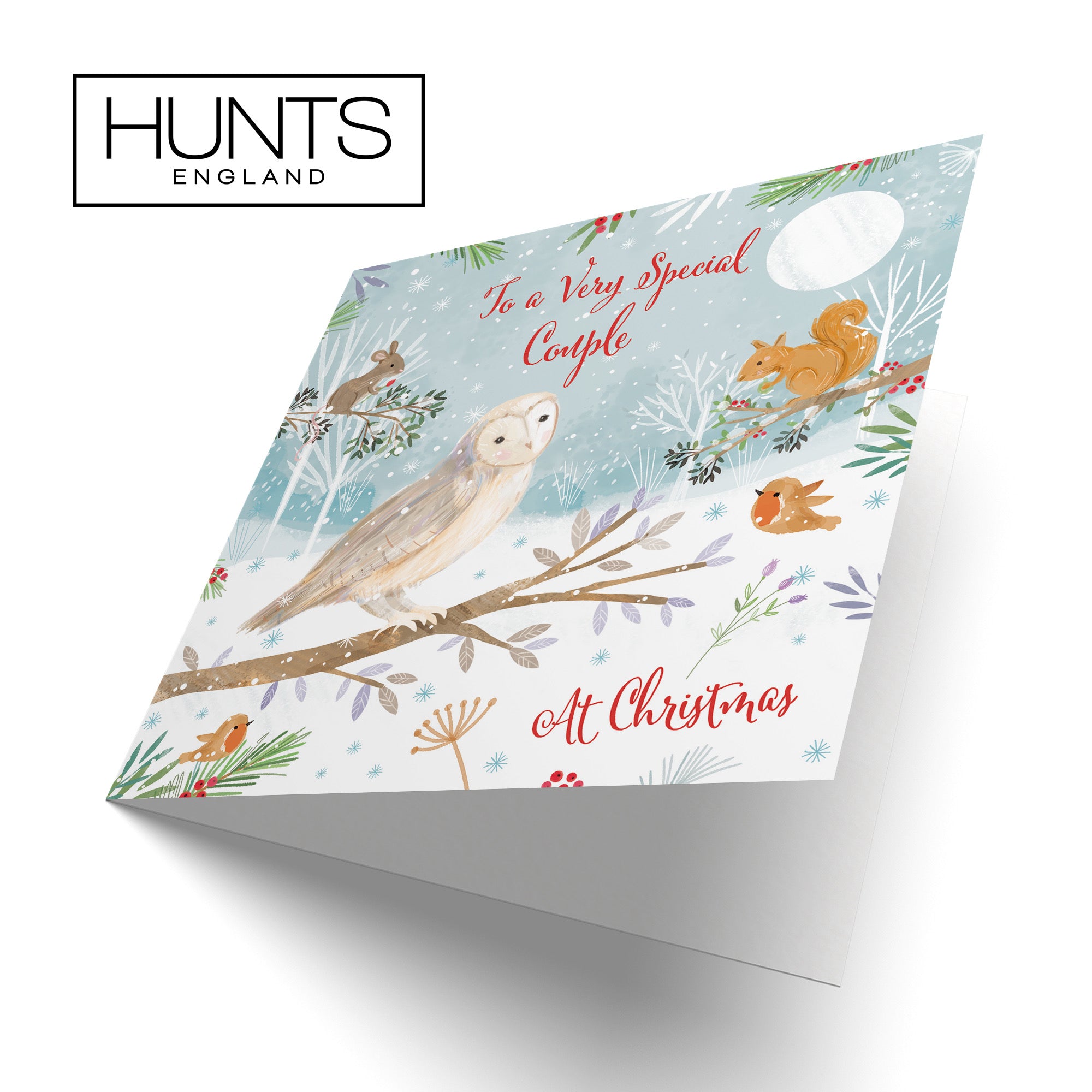 Very Special Couple Cute Owl Christmas Card Nature's Treasures - Default Title (B0CMJ83SRG)