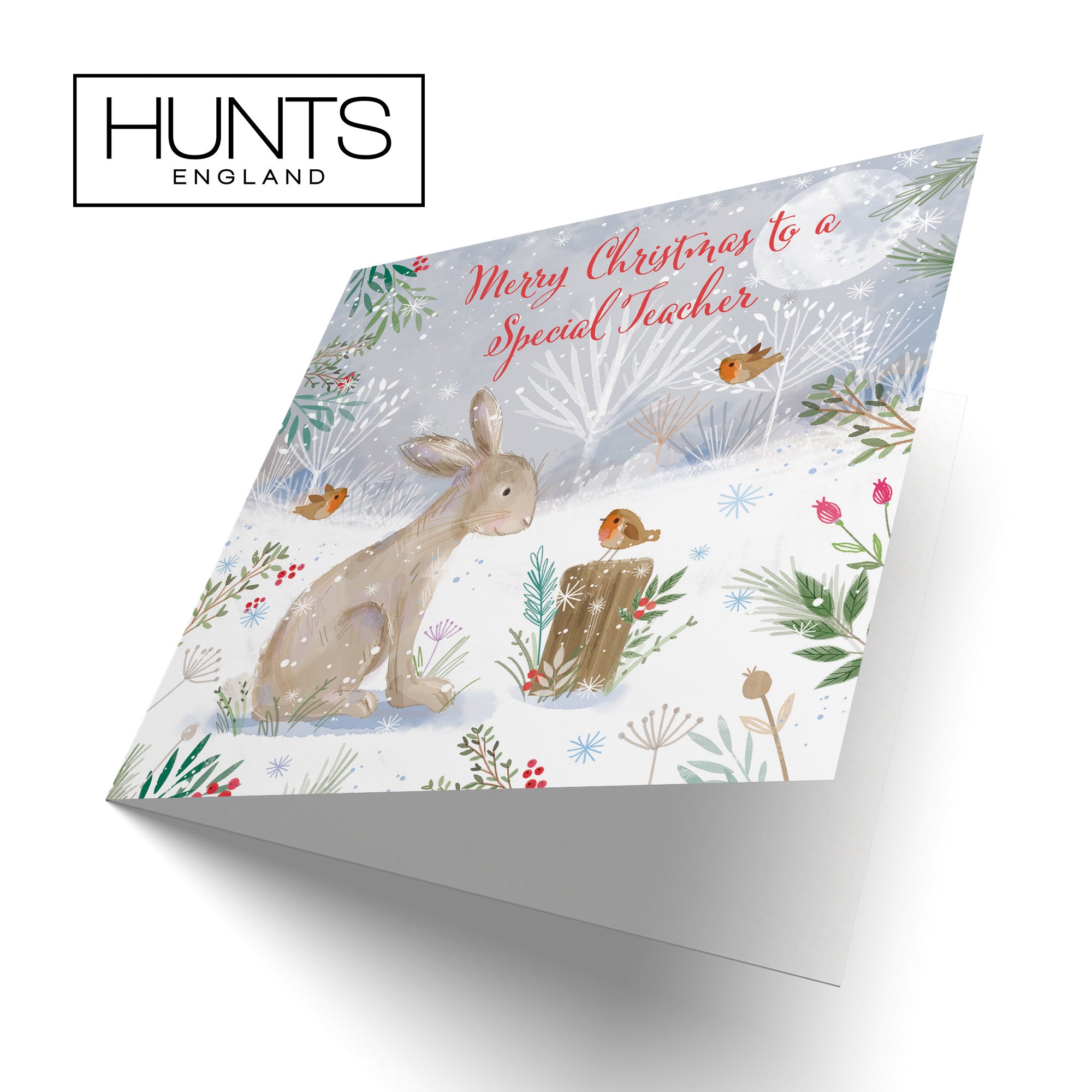 Cute Hare Teacher Christmas Card Nature's Treasures - Default Title (B0CMJ8GWVB)