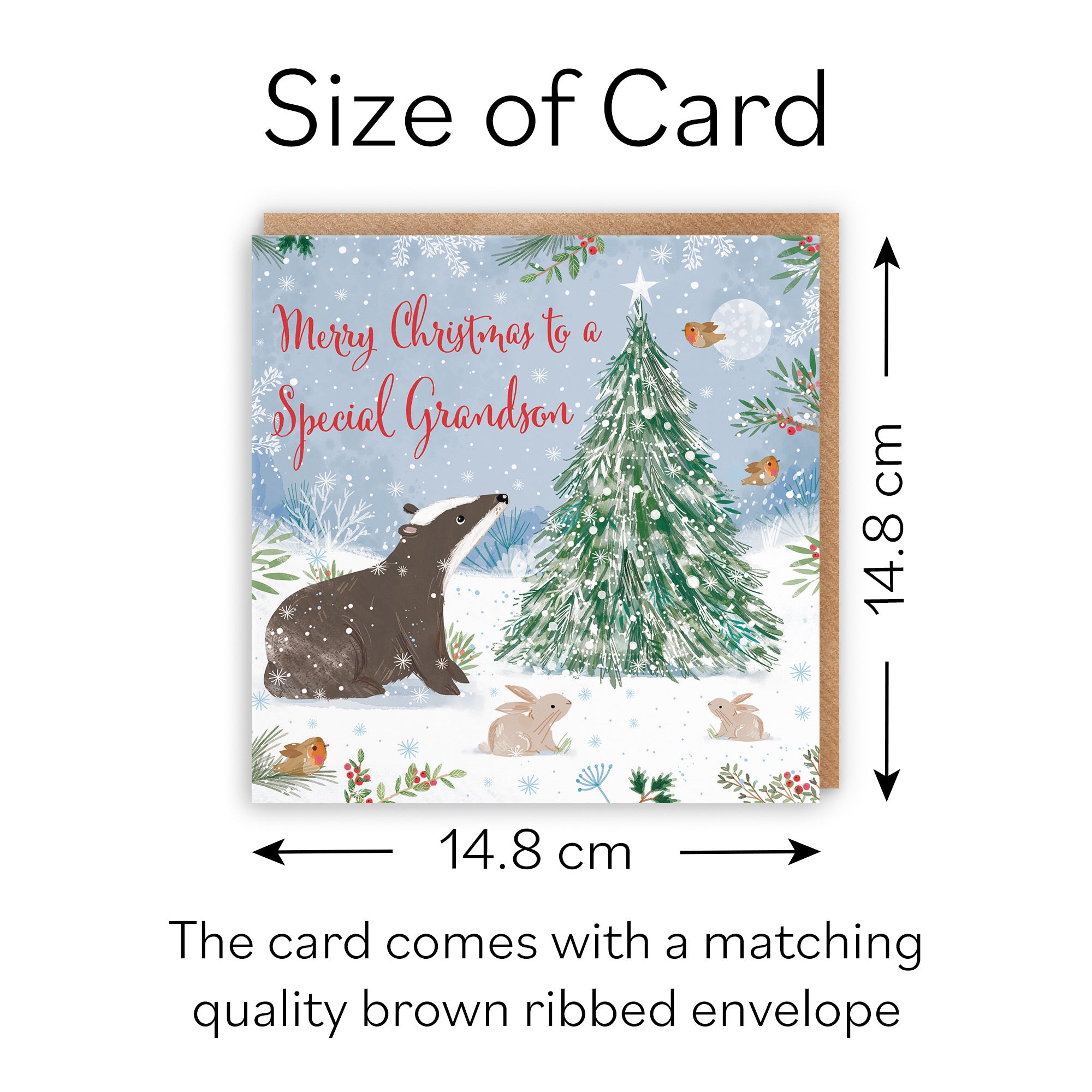 Badger Grandson Christmas Card Nature's Treasures - Default Title (B0CMJ8XLMS)