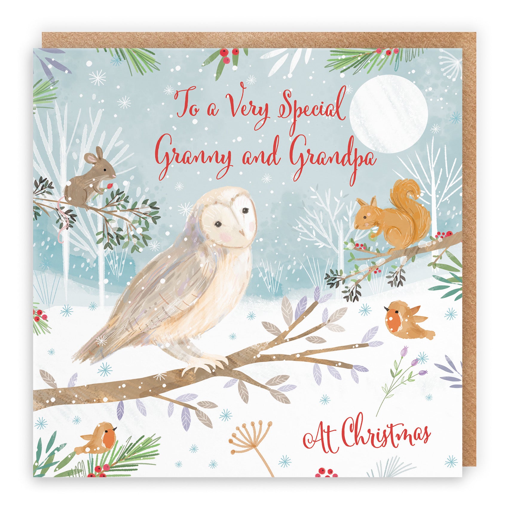 Granny And Grandpa Cute Owl Christmas Card Nature's Treasures - Default Title (B0CMJ98YJT)