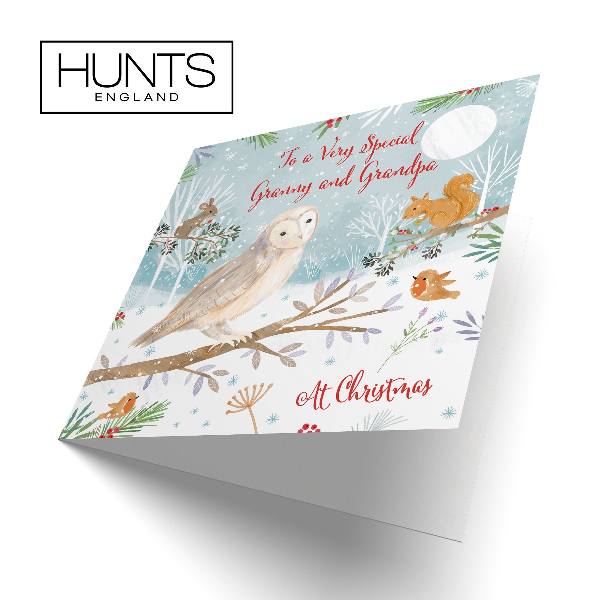 Granny And Grandpa Cute Owl Christmas Card Nature's Treasures - Default Title (B0CMJ98YJT)