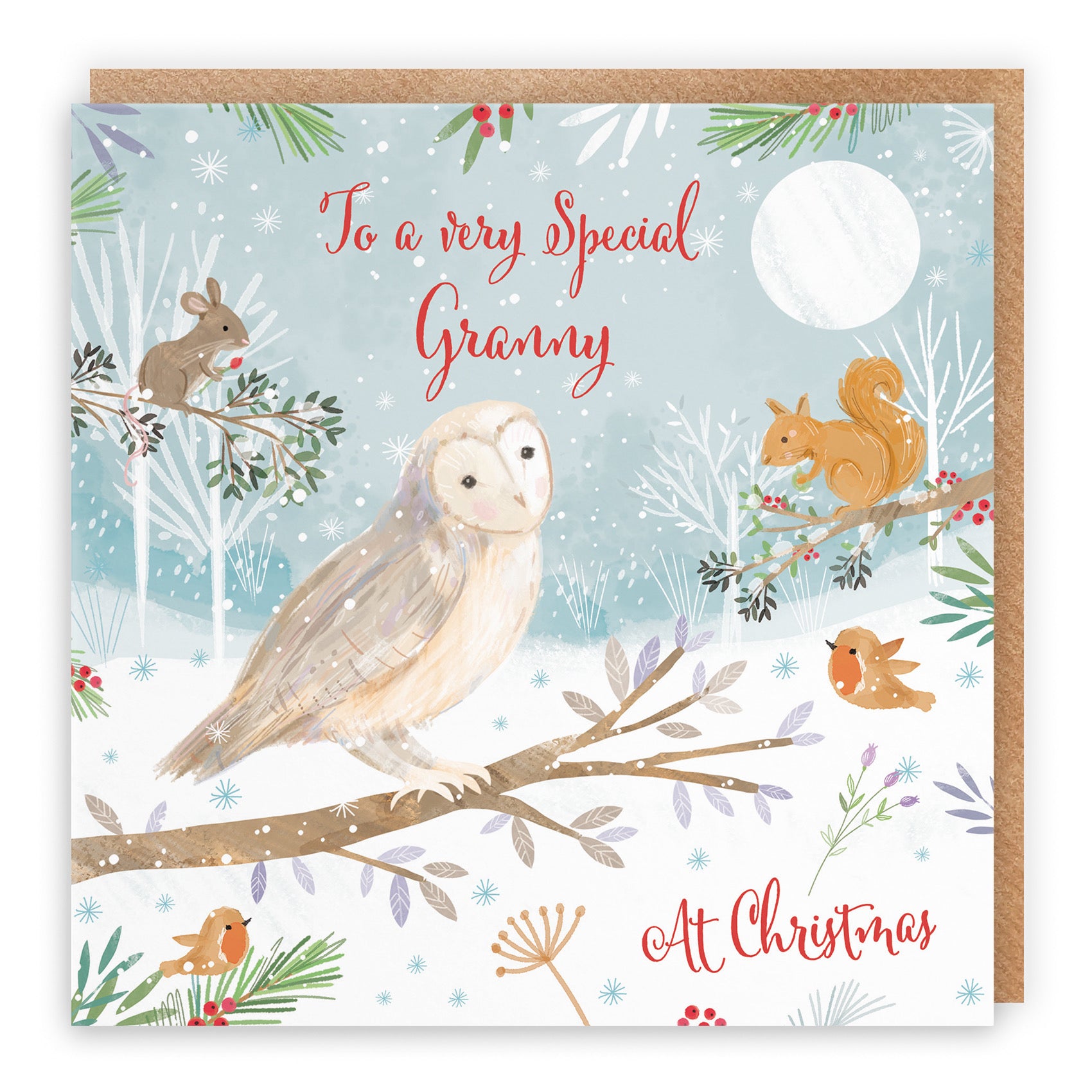 Granny Cute Owl Christmas Card Nature's Treasures - Default Title (B0CMJBJDTT)