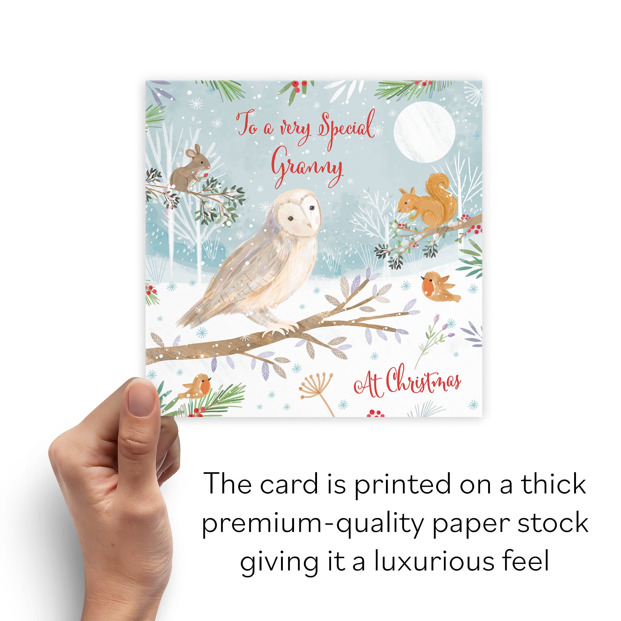 Granny Cute Owl Christmas Card Nature's Treasures - Default Title (B0CMJBJDTT)