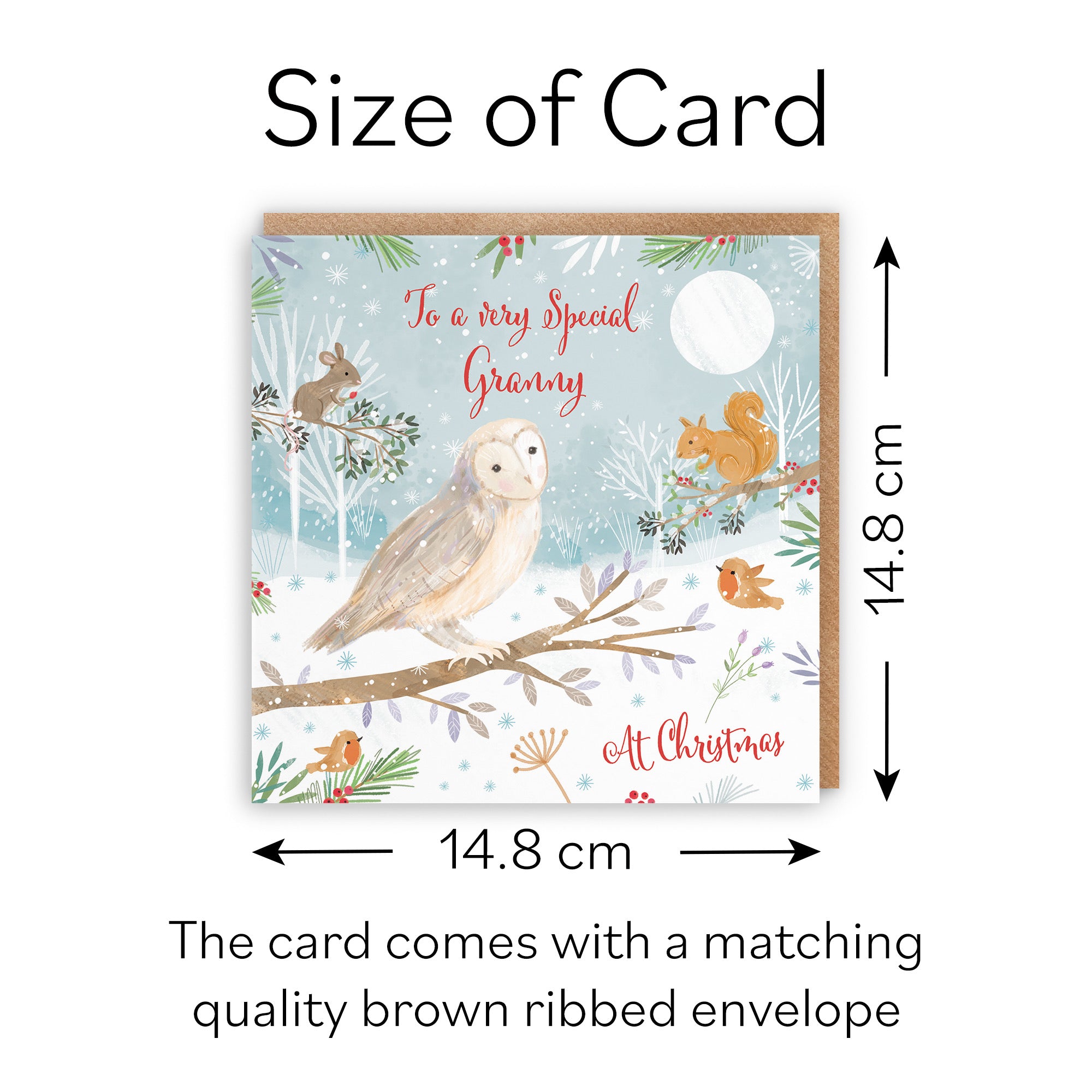 Granny Cute Owl Christmas Card Nature's Treasures - Default Title (B0CMJBJDTT)