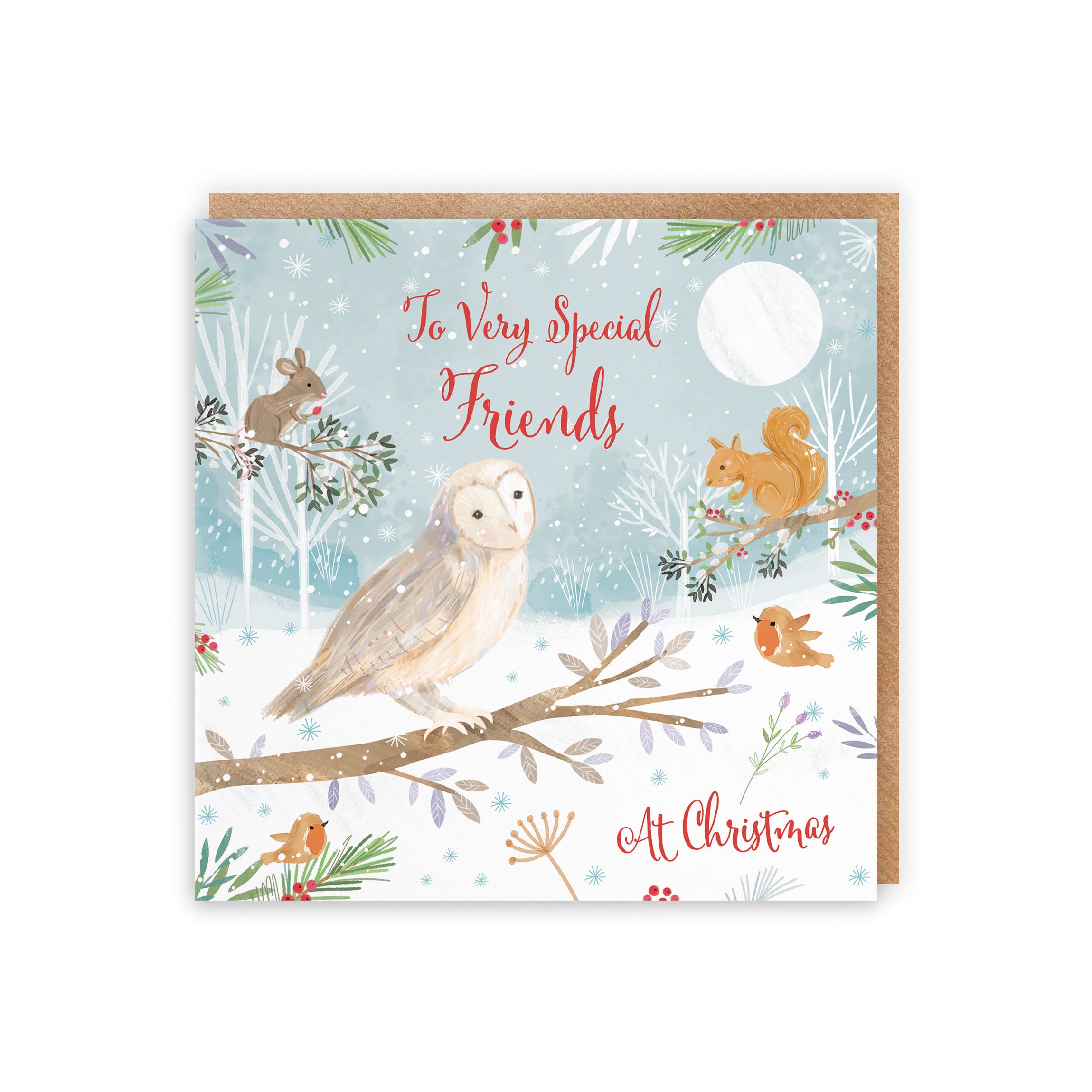 Special Friends Cute Owl Christmas Card Nature's Treasures - Default Title (B0CMJBNBQL)