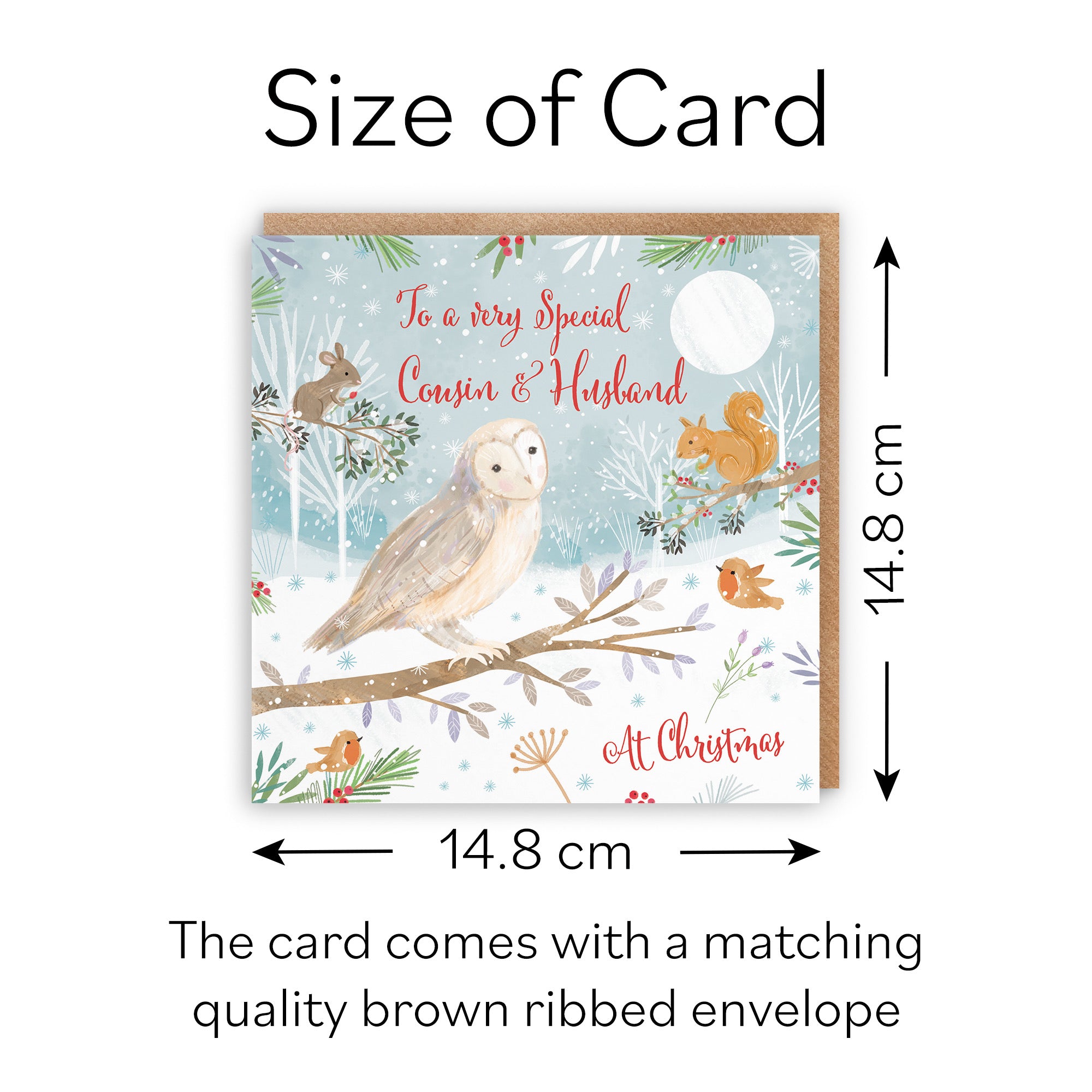 Cousin And Husband Cute Owl Christmas Card Nature's Treasures - Default Title (B0CMJBNSXX)