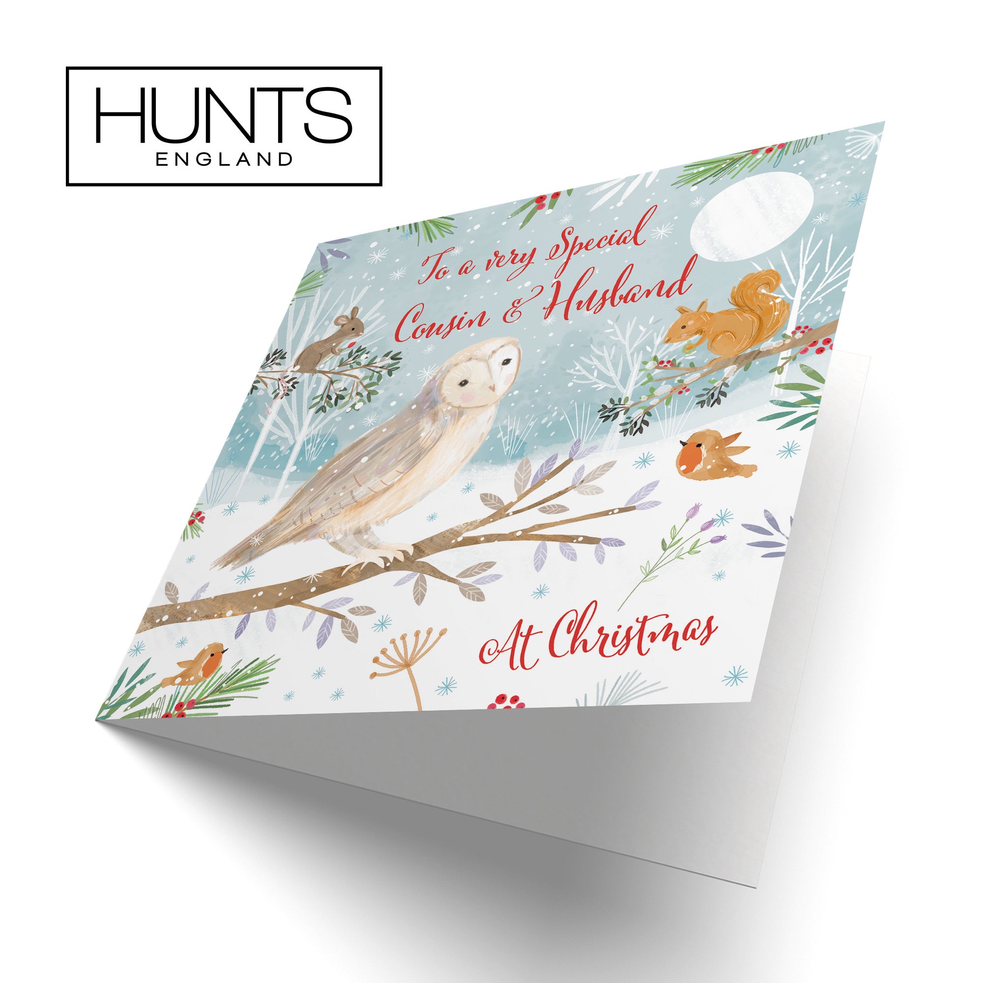 Cousin And Husband Cute Owl Christmas Card Nature's Treasures - Default Title (B0CMJBNSXX)