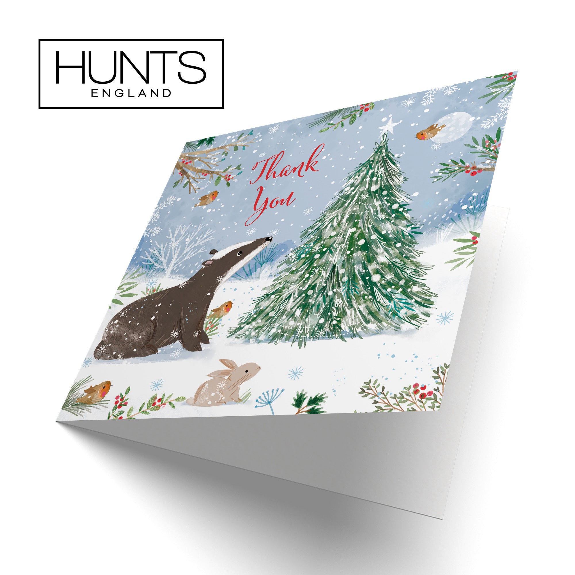 Thank You Cute Badger Christmas Card Nature's Treasures - Default Title (B0CMJBX5Q3)