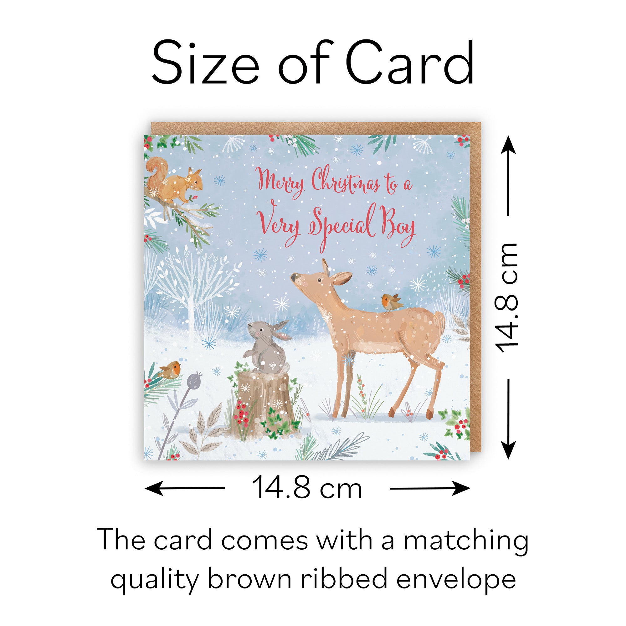 Special Boy Cute Deer Christmas Card Nature's Treasures - Default Title (B0CMJFZ8B5)