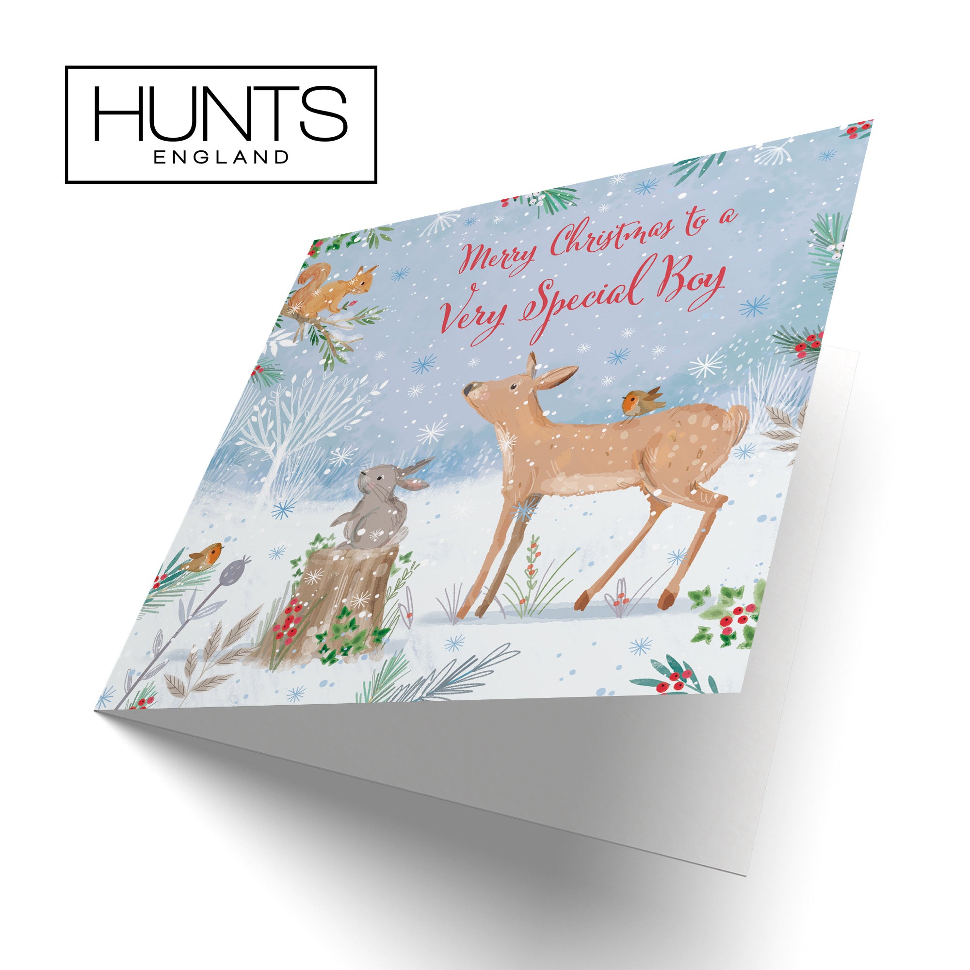 Special Boy Cute Deer Christmas Card Nature's Treasures - Default Title (B0CMJFZ8B5)