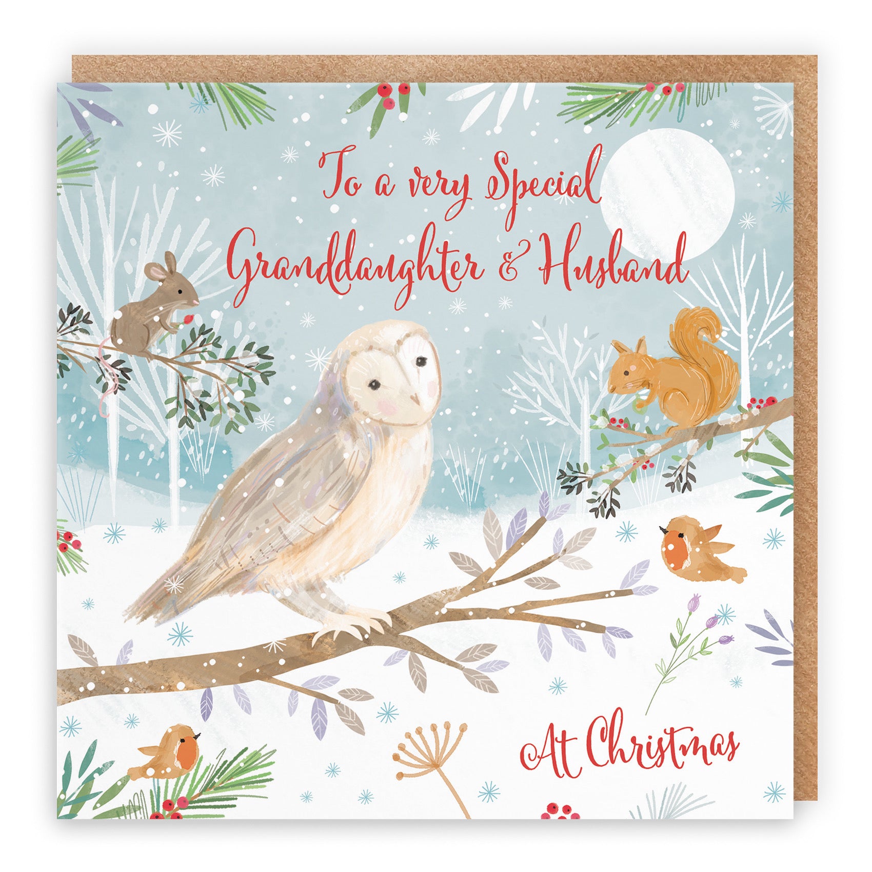 Granddaughter And Husband Cute Owl Christmas Card Nature's Treasures - Default Title (B0CMJFZ8B8)