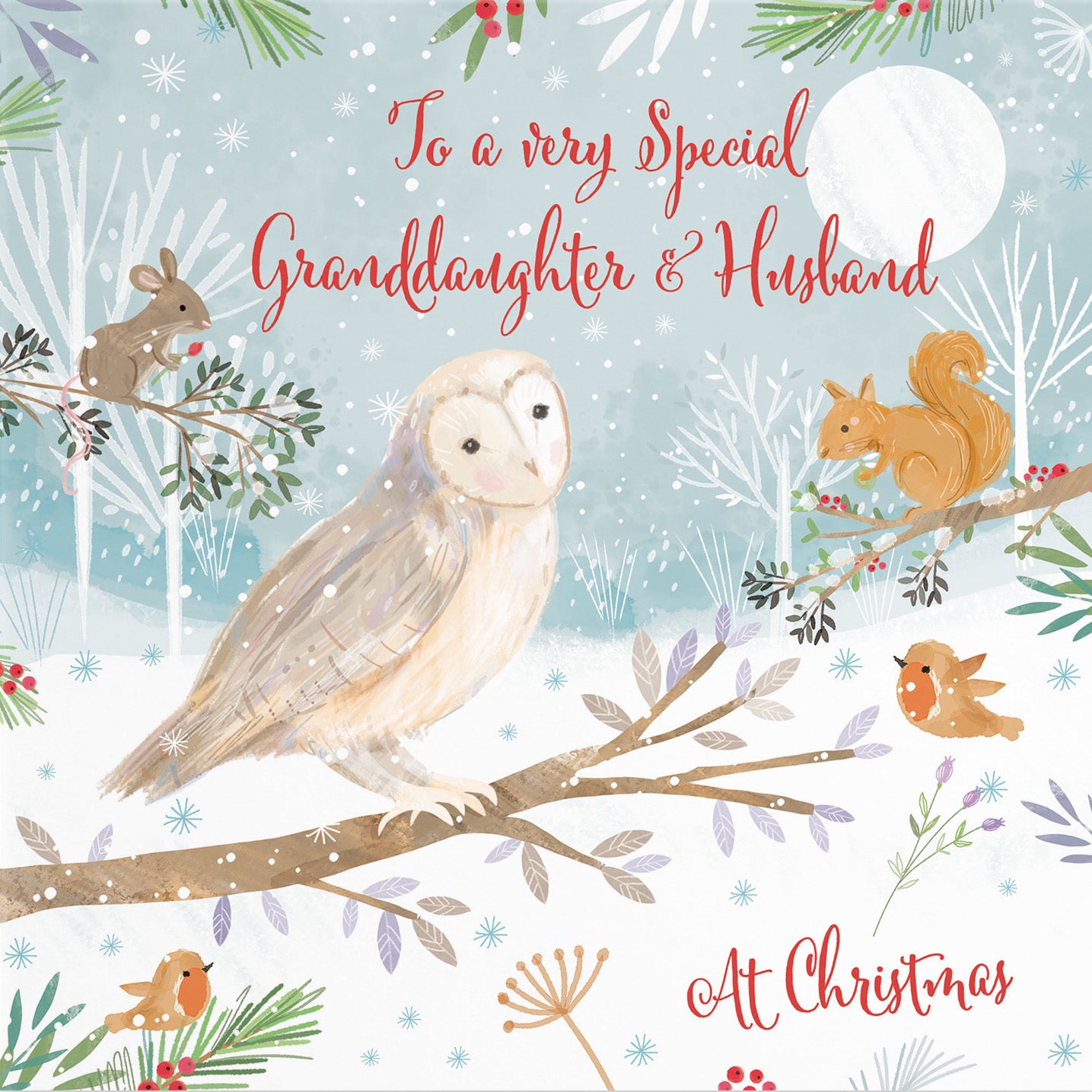 Granddaughter And Husband Cute Owl Christmas Card Nature's Treasures - Default Title (B0CMJFZ8B8)