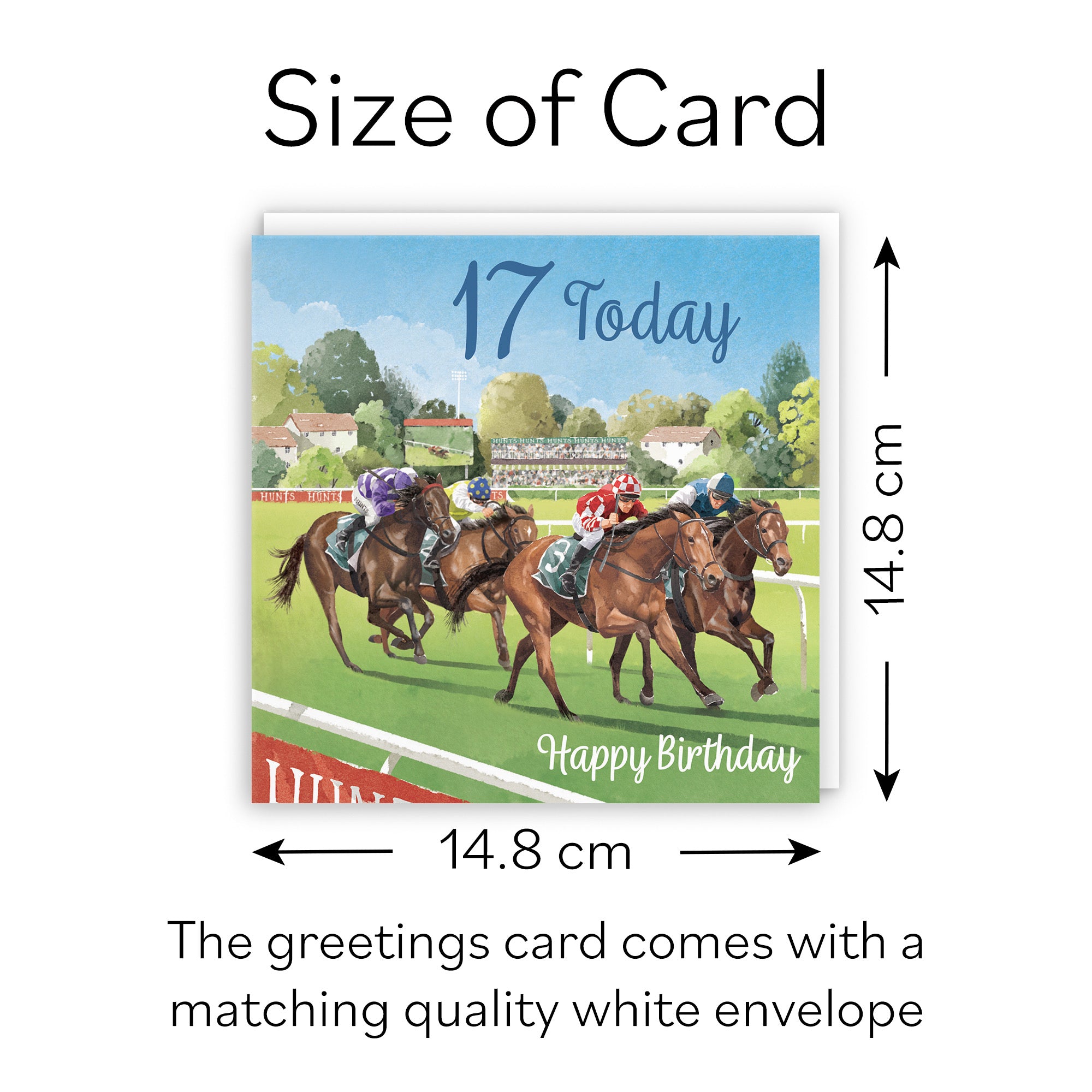 Horse Racing 17th Birthday Card Milo's Gallery - Default Title (B0CPWV5TMY)