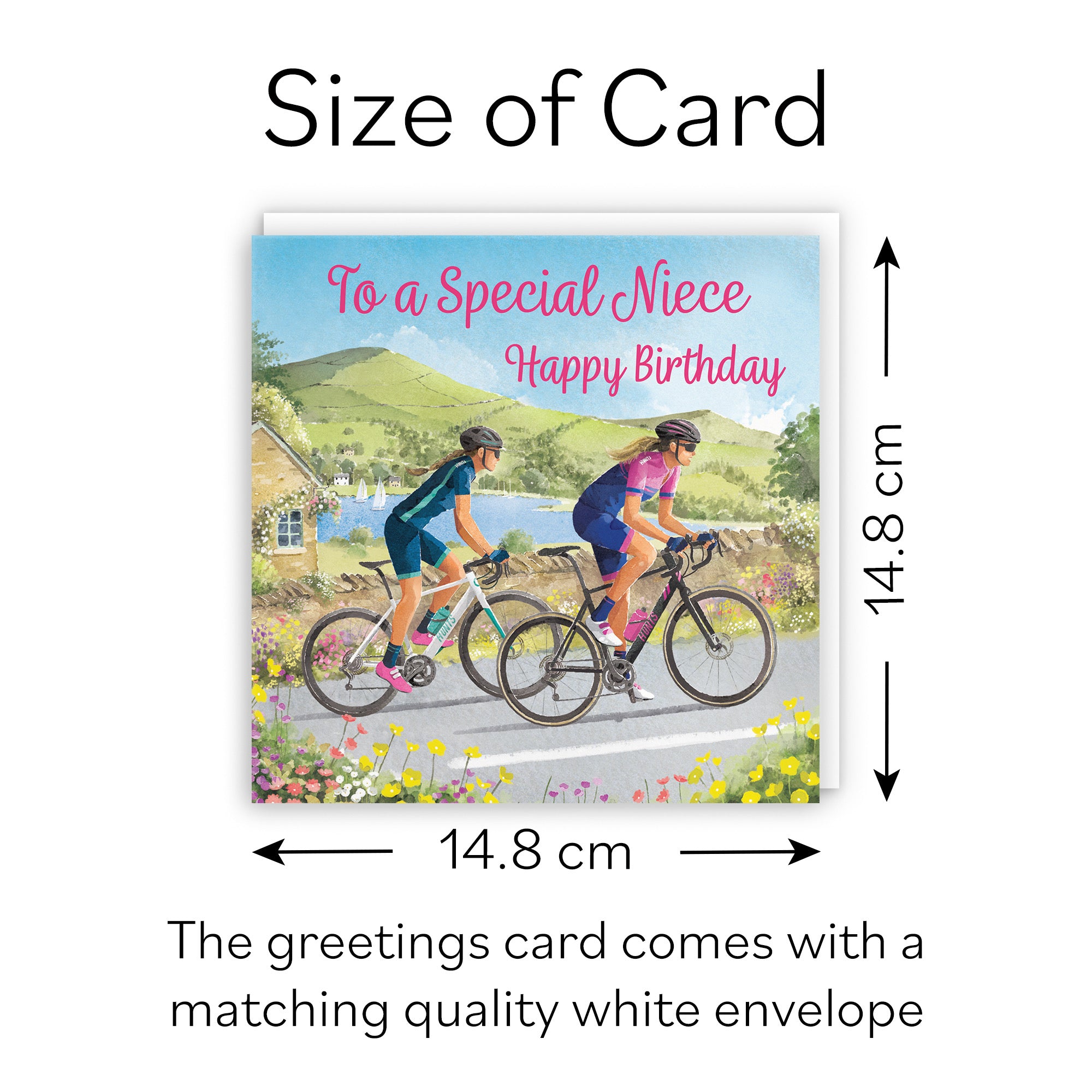 Niece Cycling Birthday Card Milo's Gallery - Default Title (B0CQZ5KW4L)