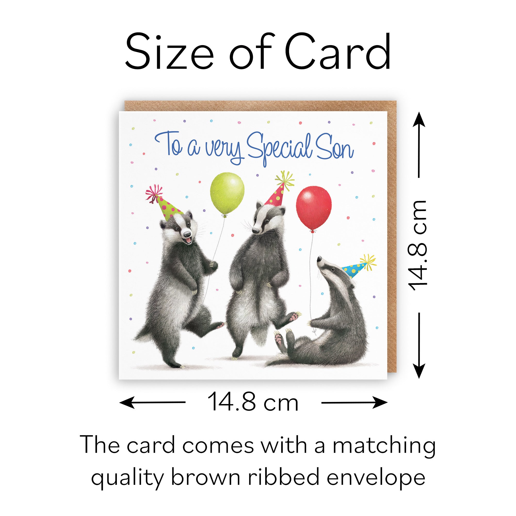 Son Badgers Birthday Card Milo's Gallery - Default Title (B0CRXGBFP6)