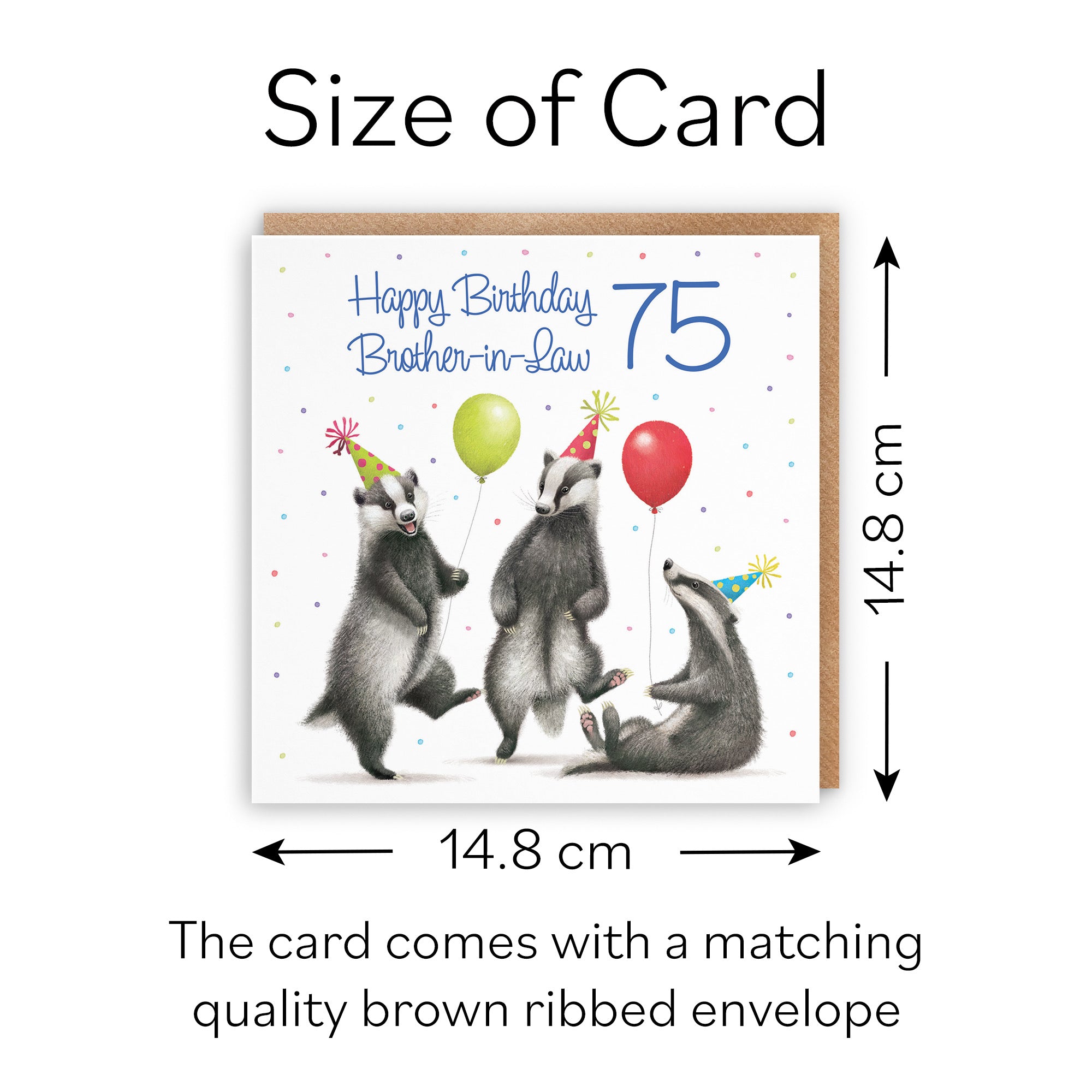 75th Brother In Law Badgers Birthday Card Milo's Gallery - Default Title (B0CRXPD3BL)