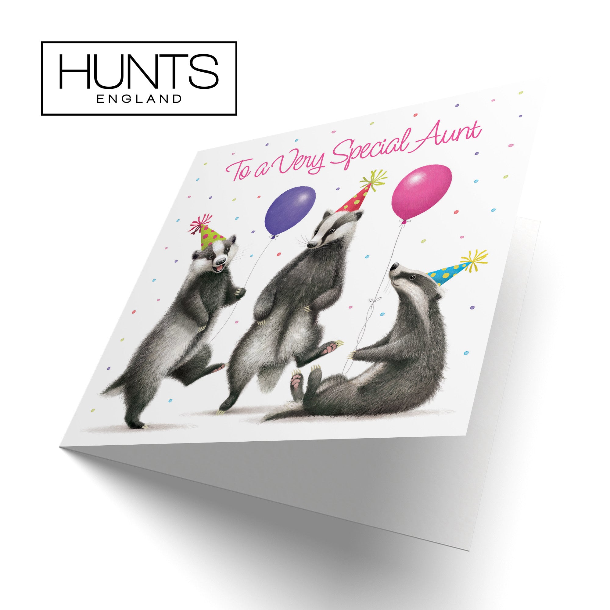 Aunt Badgers Birthday Card Milo's Gallery - Default Title (B0CRXPKYN3)