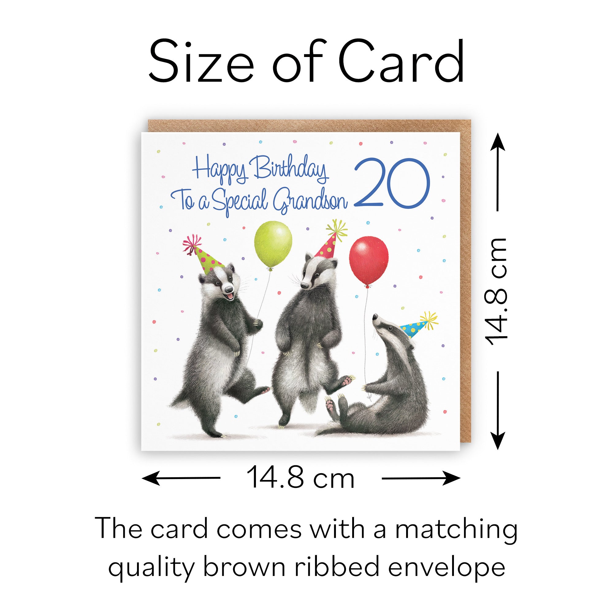 20th Grandson Badgers Birthday Card Milo's Gallery - Default Title (B0CRXPLCKP)