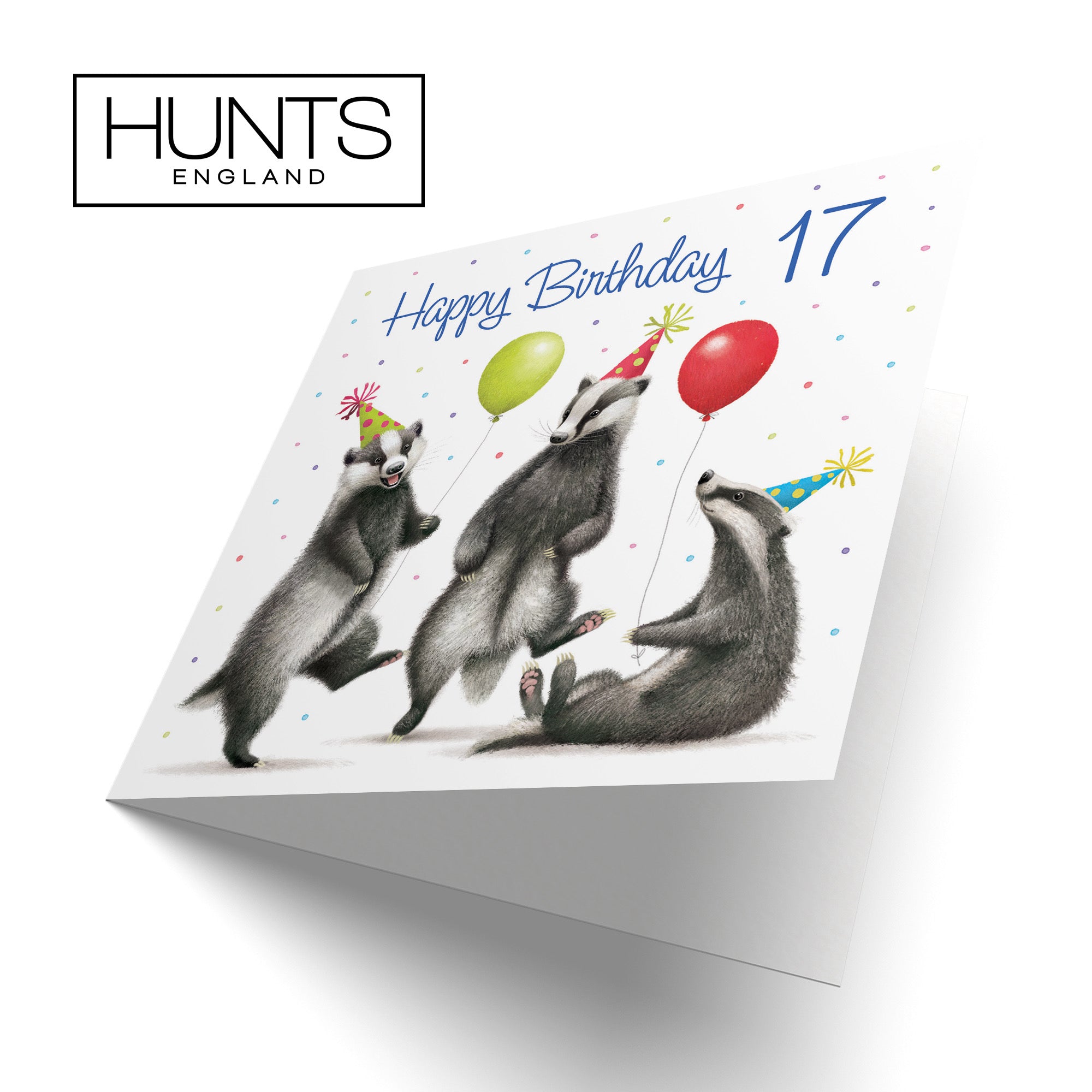 Badgers 17th Birthday Card Milo's Gallery - Default Title (B0CRXT3Q2T)