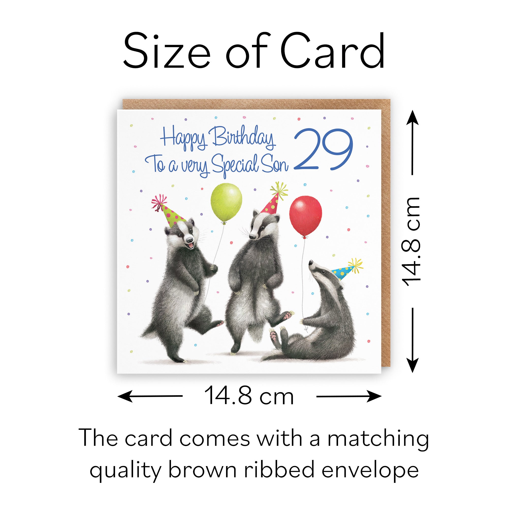 29th Son Badgers Birthday Card Milo's Gallery - Default Title (B0CRXT48FJ)